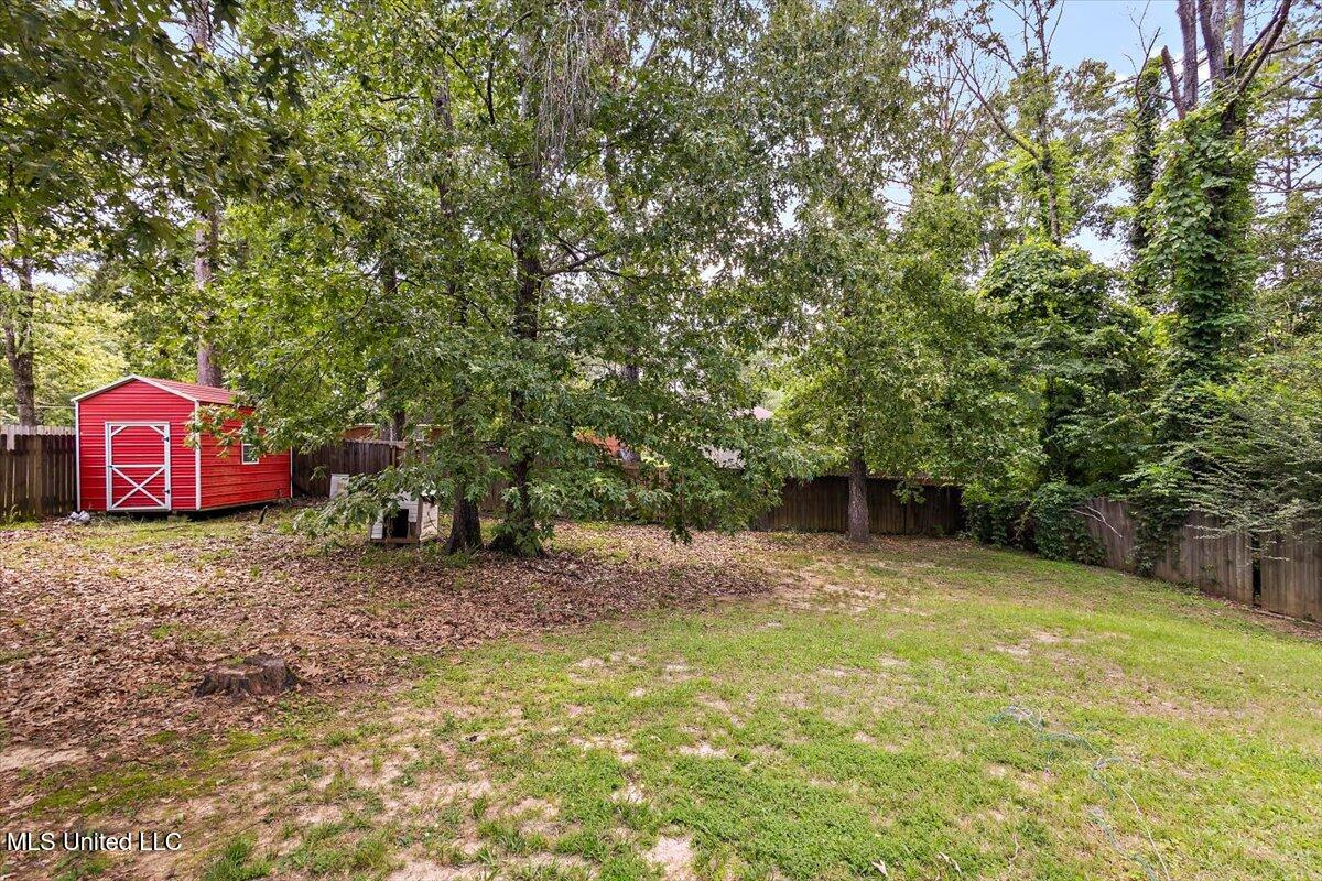 100 Torrence Cove, Byram, Mississippi image 16