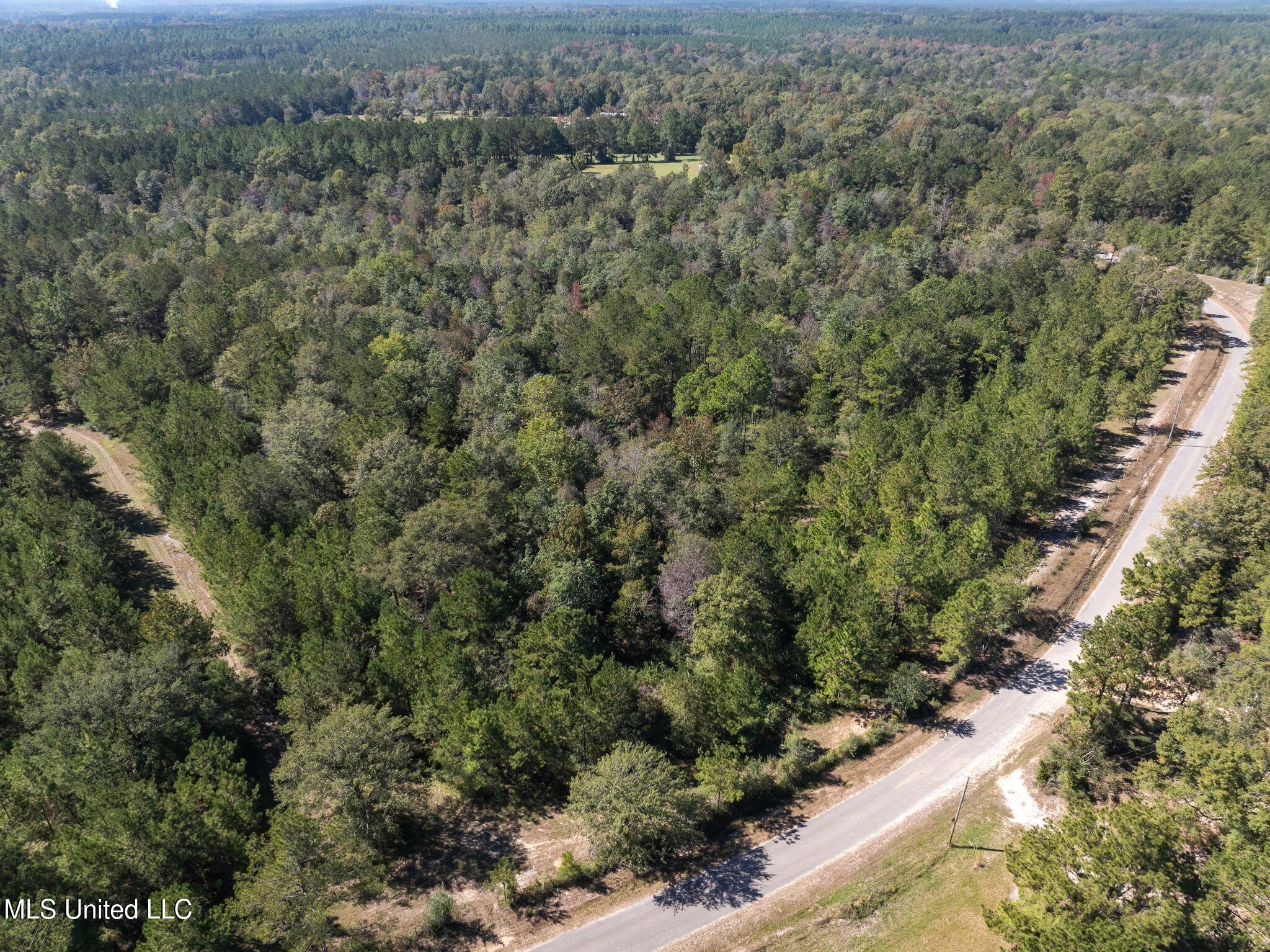 91 Acres Burge & Reyer, Poplarville, Mississippi image 32