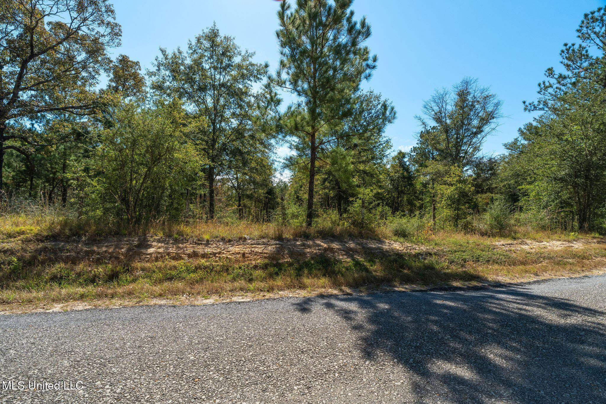 91 Acres Burge & Reyer, Poplarville, Mississippi image 10