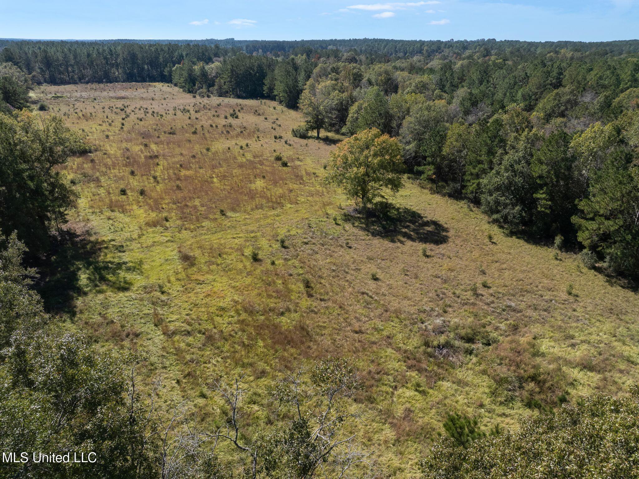 91 Acres Burge & Reyer, Poplarville, Mississippi image 28