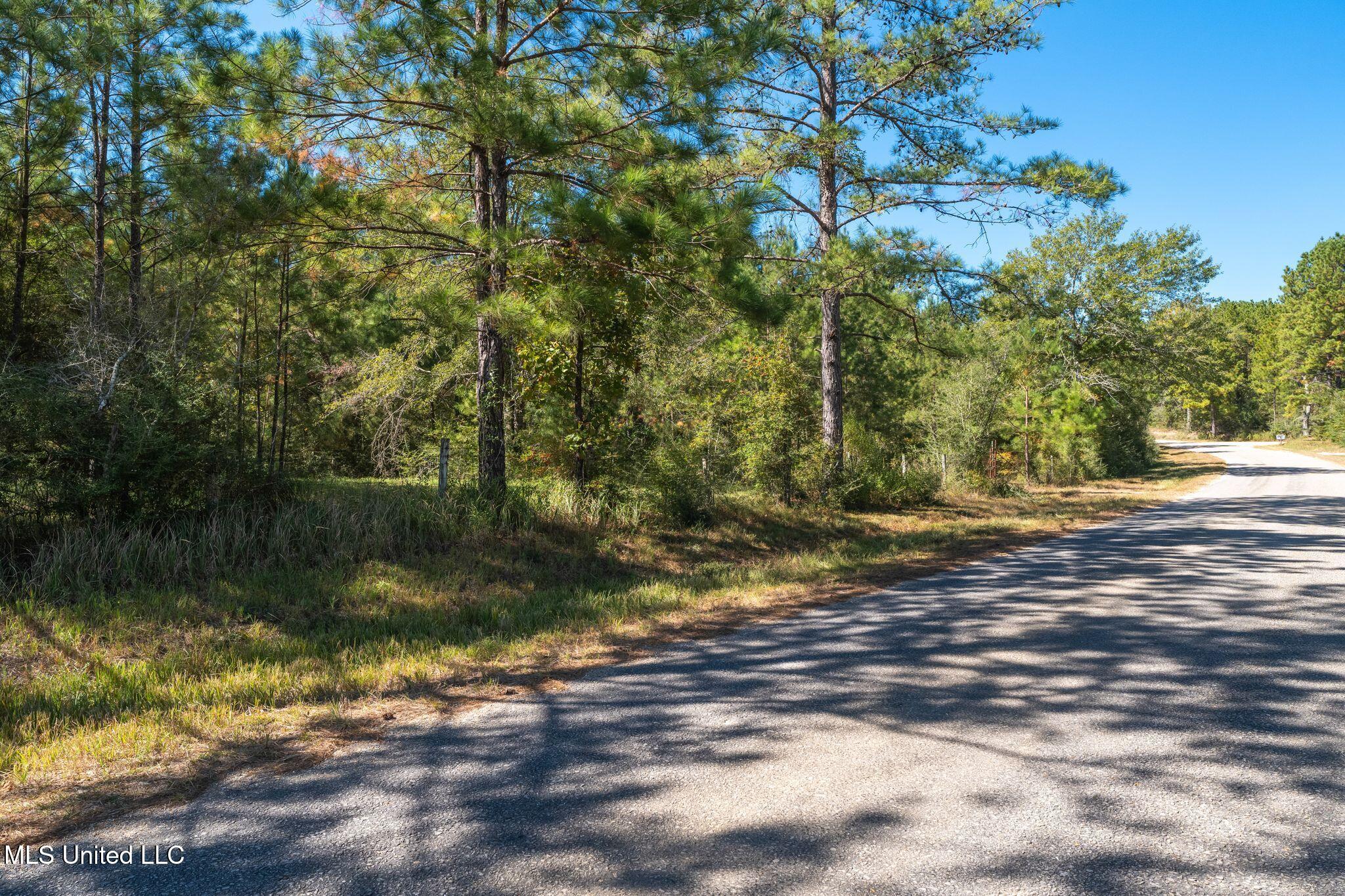 91 Acres Burge & Reyer, Poplarville, Mississippi image 6