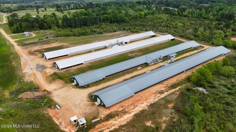 Vacant Land For Sale - 53 Jones Chapel Road<br/> Collins, MS 39428