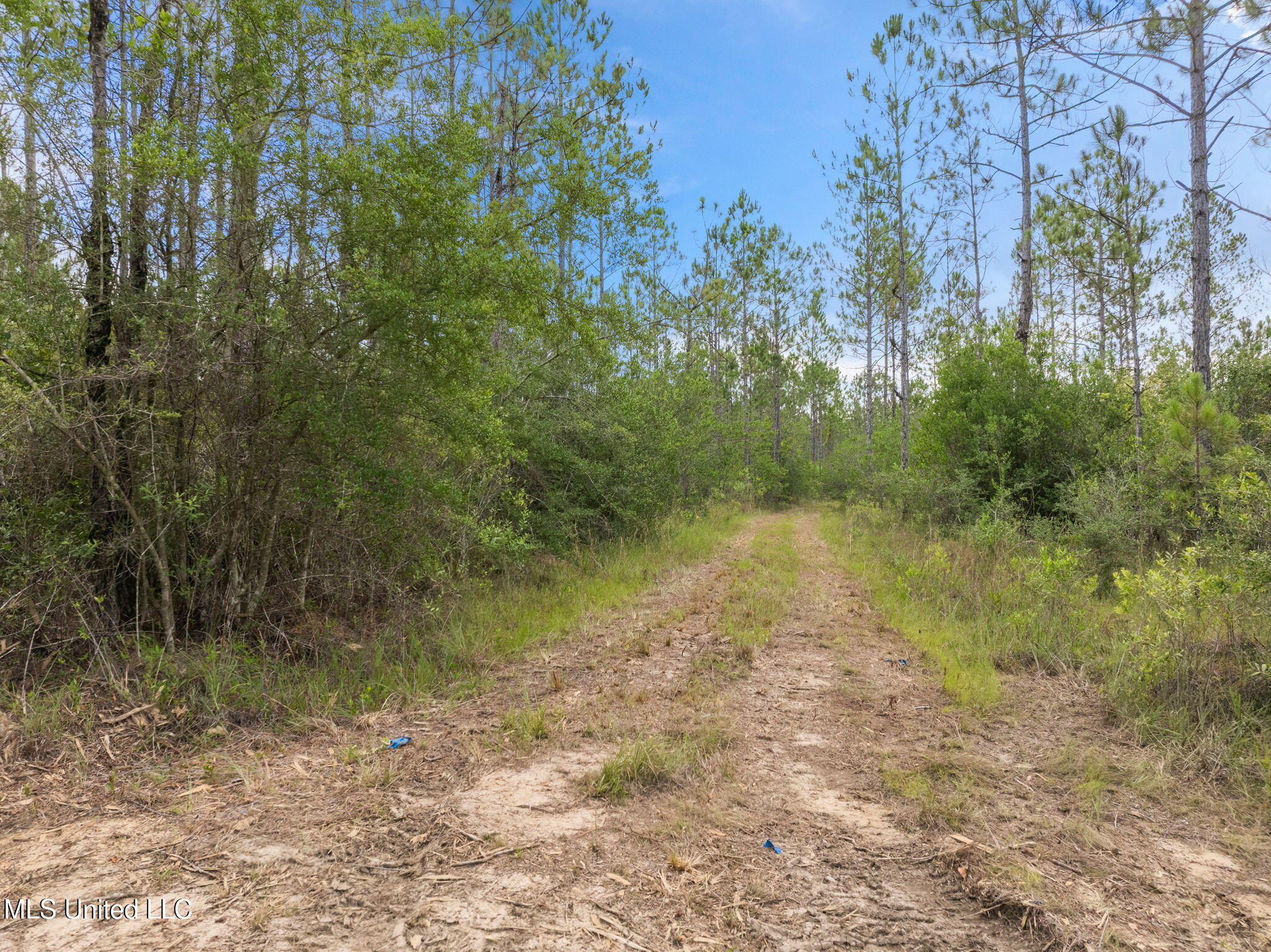 Herman Ladner Road, Saucier, Mississippi image 8