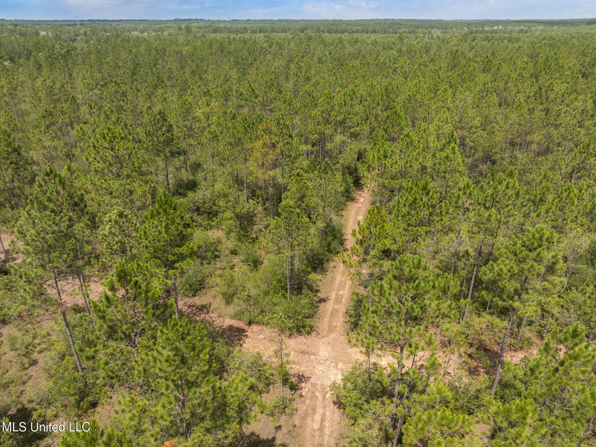 Herman Ladner Road, Saucier, Mississippi image 7