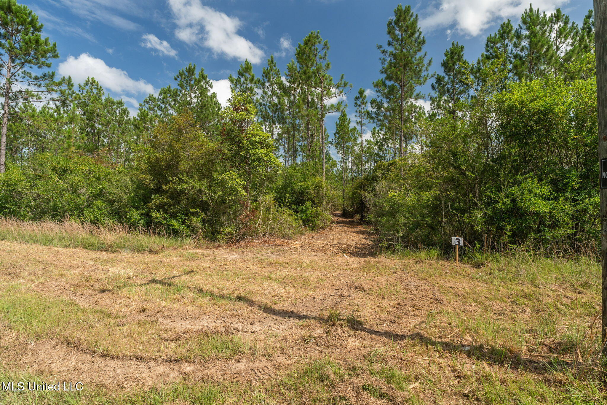 Herman Ladner Road, Saucier, Mississippi image 4