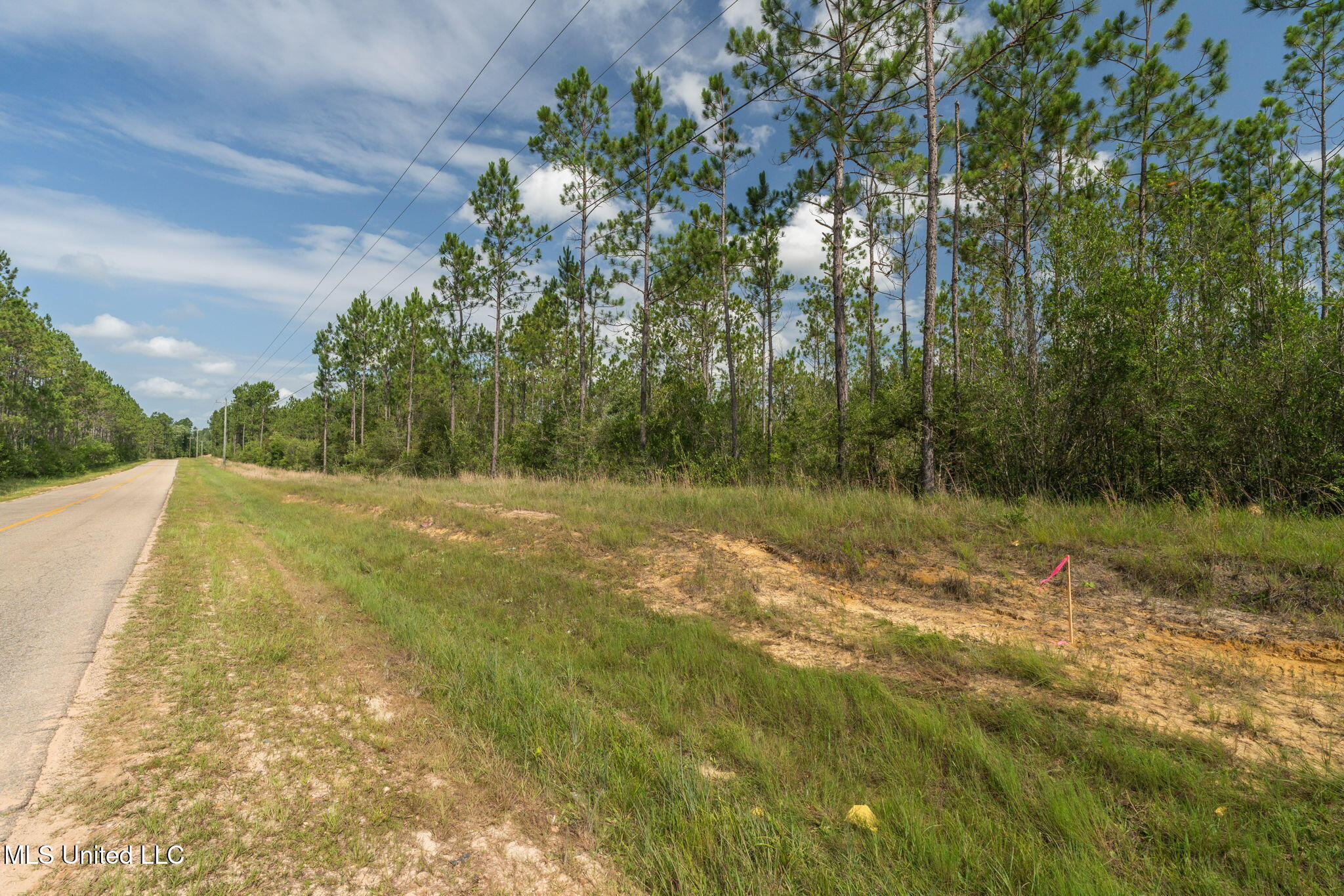 Herman Ladner Road, Saucier, Mississippi image 3