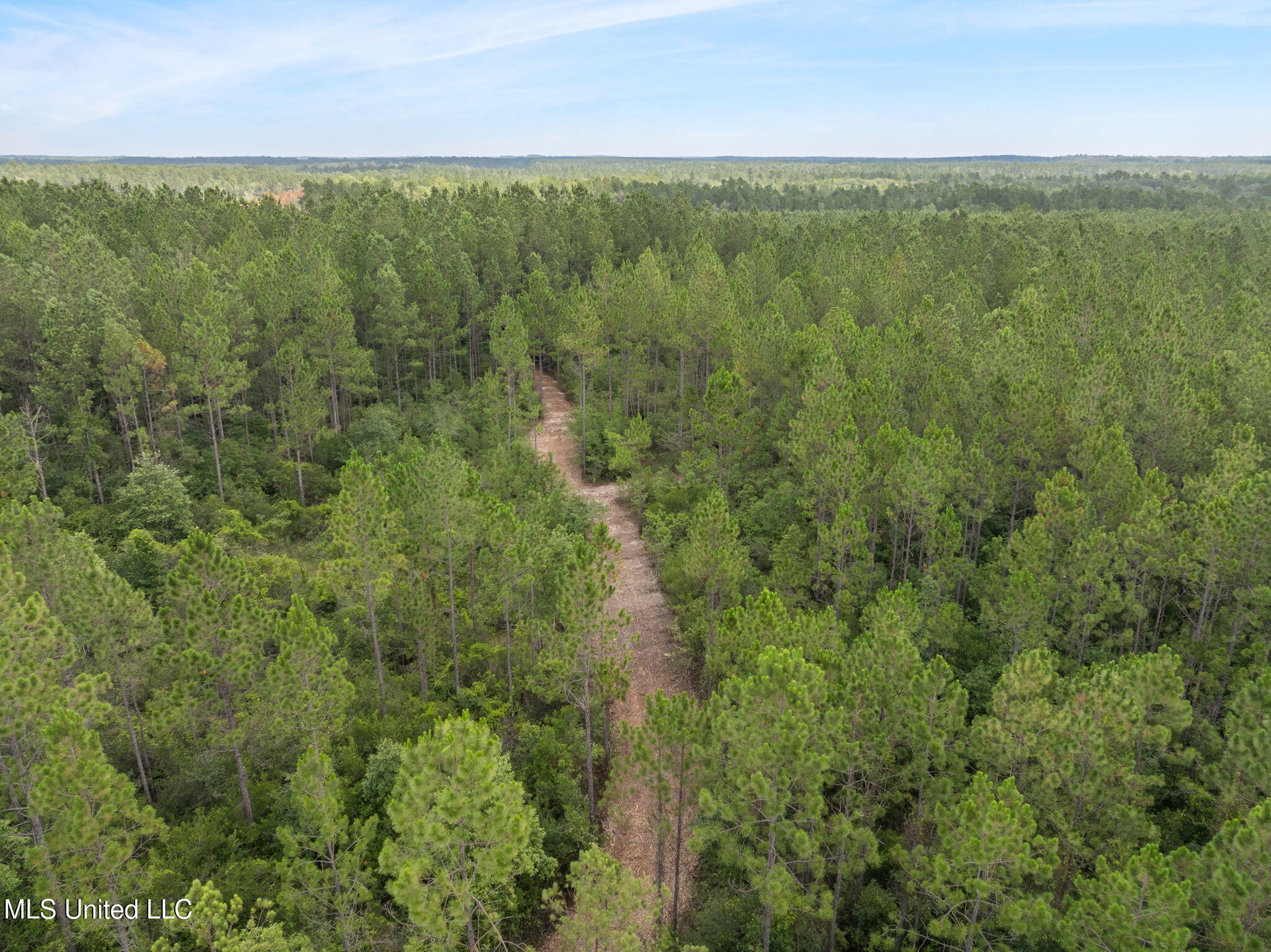 Herman Ladner Road, Saucier, Mississippi image 9