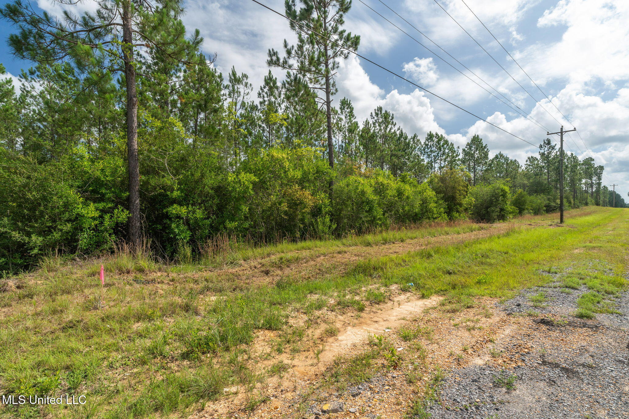 Herman Ladner Road, Saucier, Mississippi image 5