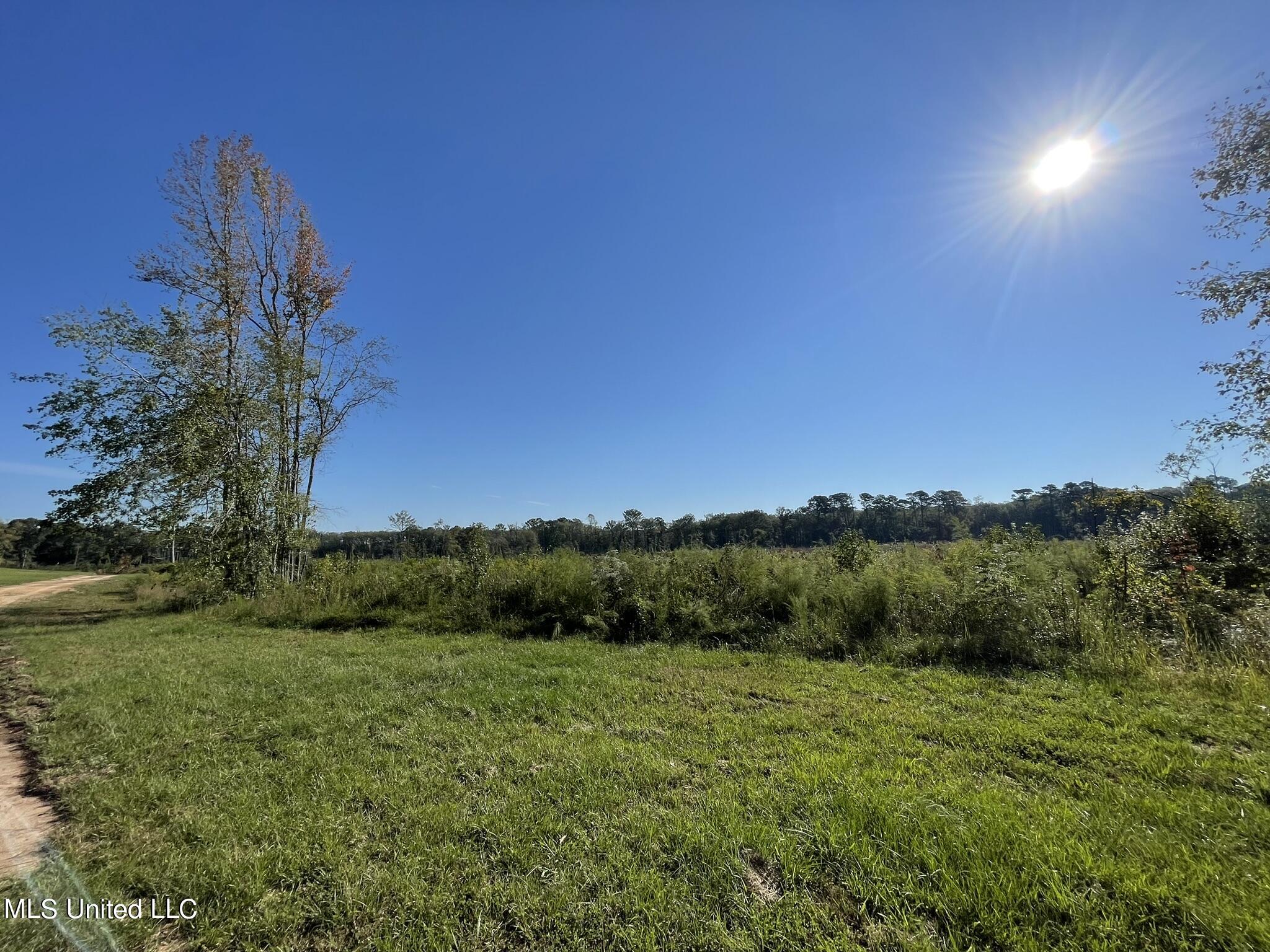 Ms-397, Louisville, Mississippi image 6