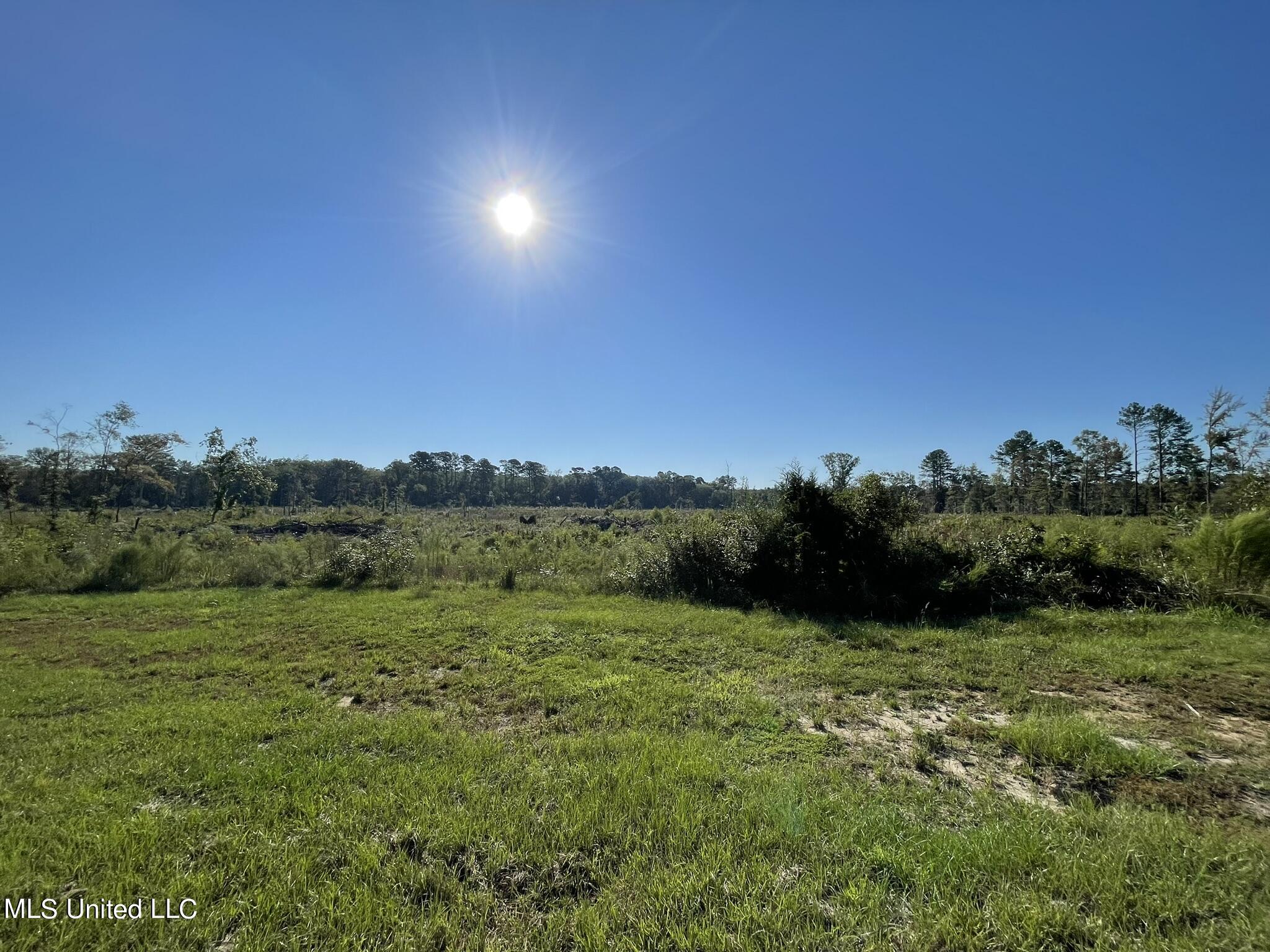 Ms-397, Louisville, Mississippi image 3