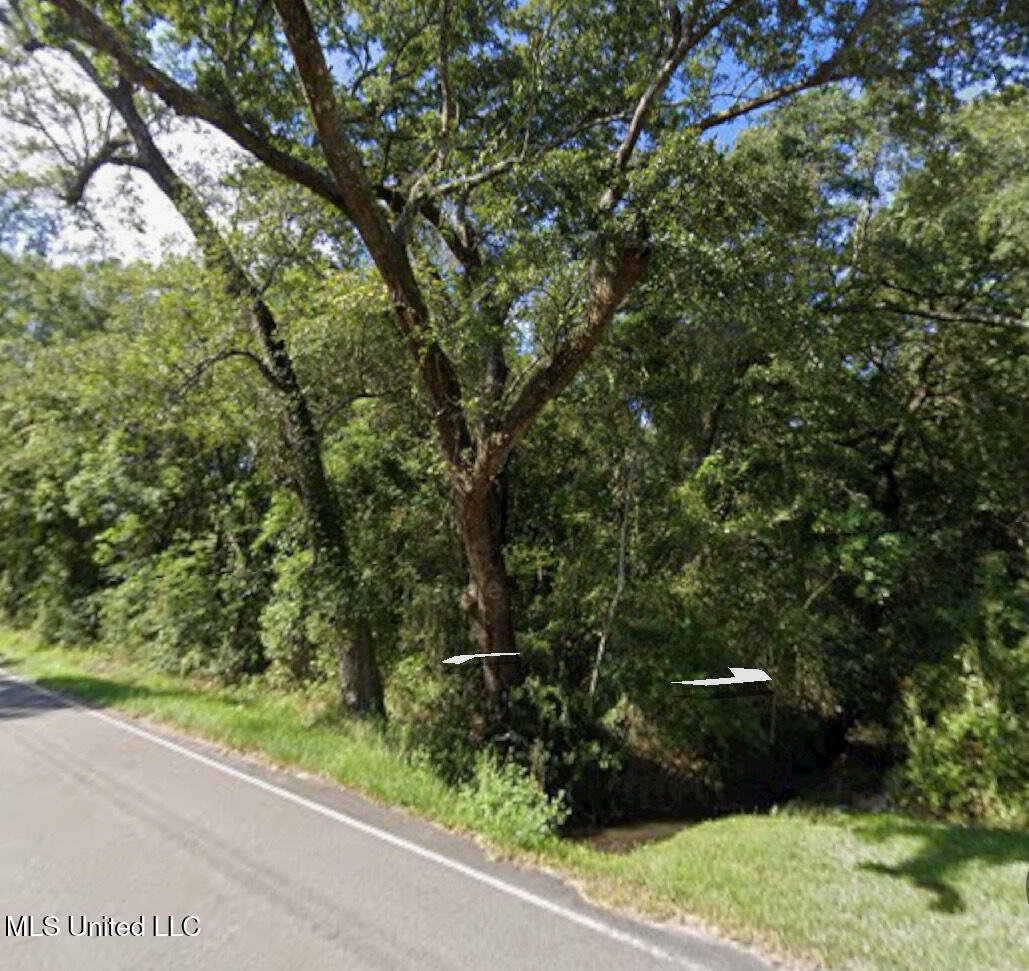 Rose Farm Road, Ocean Springs, Mississippi image 1