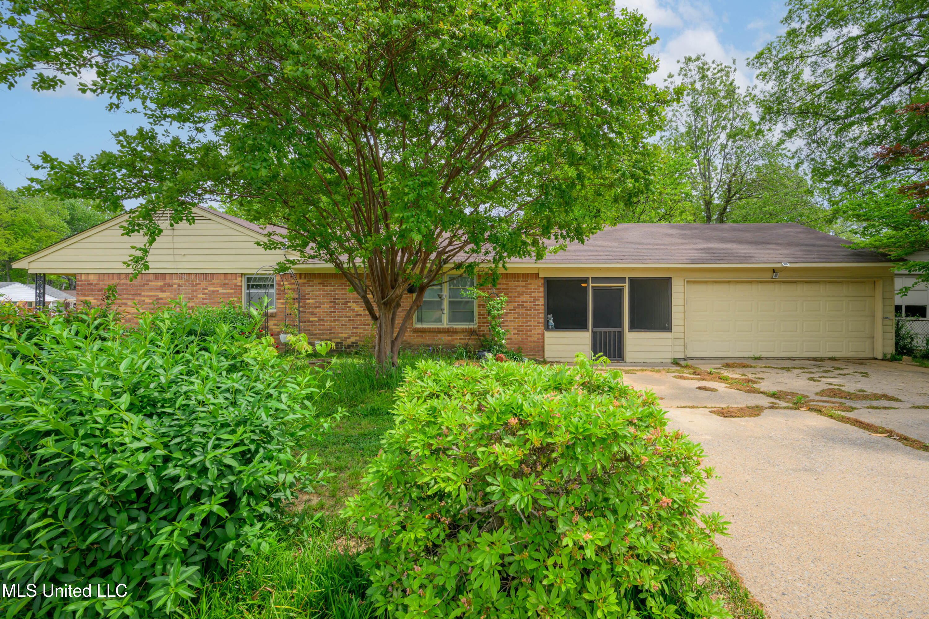 4543 Given Avenue, Memphis, Tennessee image 5