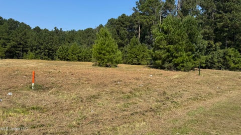 Vacant Land For Sale - 01 S Hwy 35 Highway<br/> Forest, MS 39074