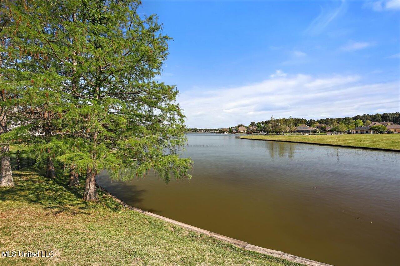 101 Vinings Drive, Madison, Mississippi image 40