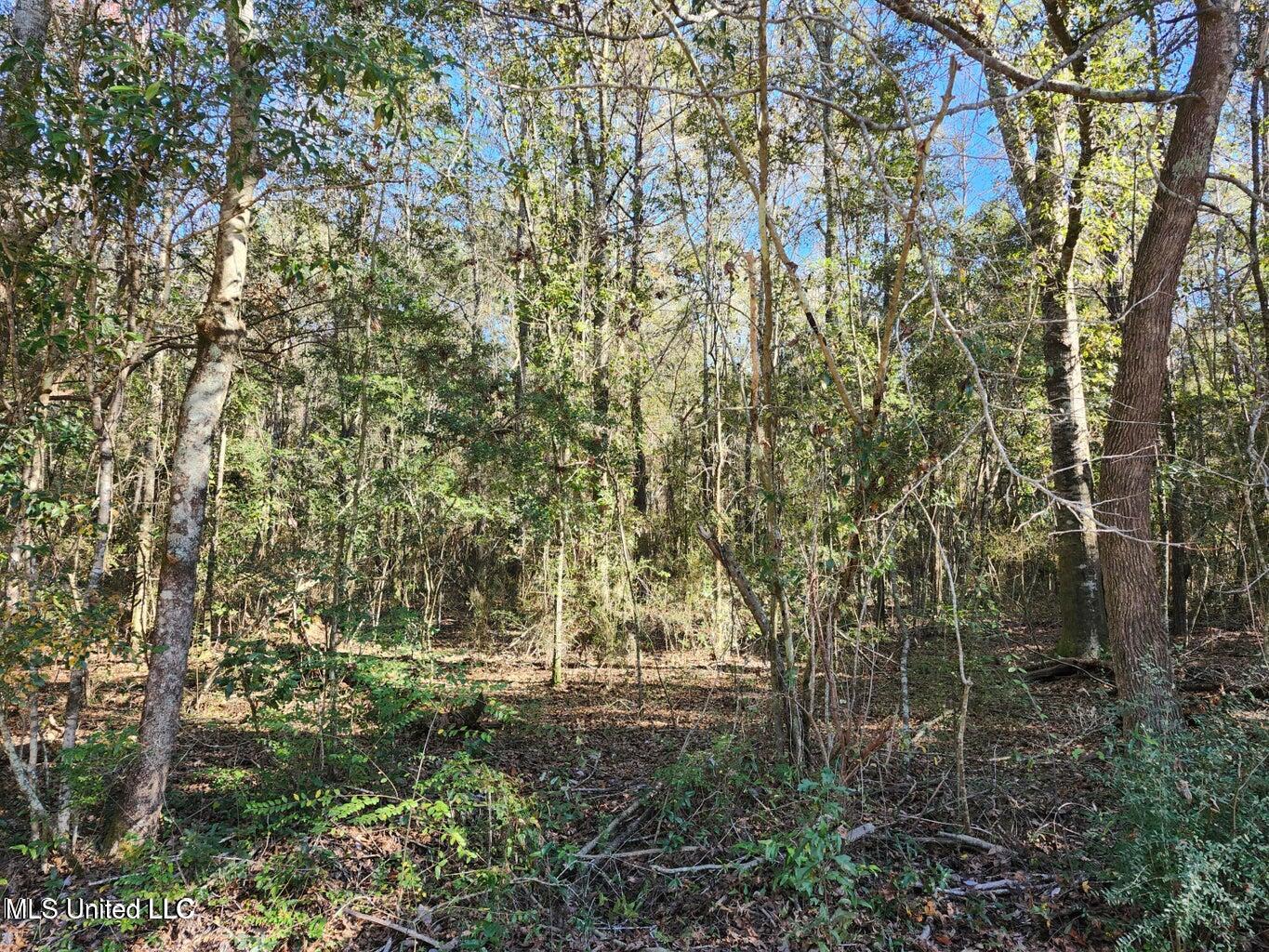Nhn Hoda Road, Kiln, Mississippi image 1