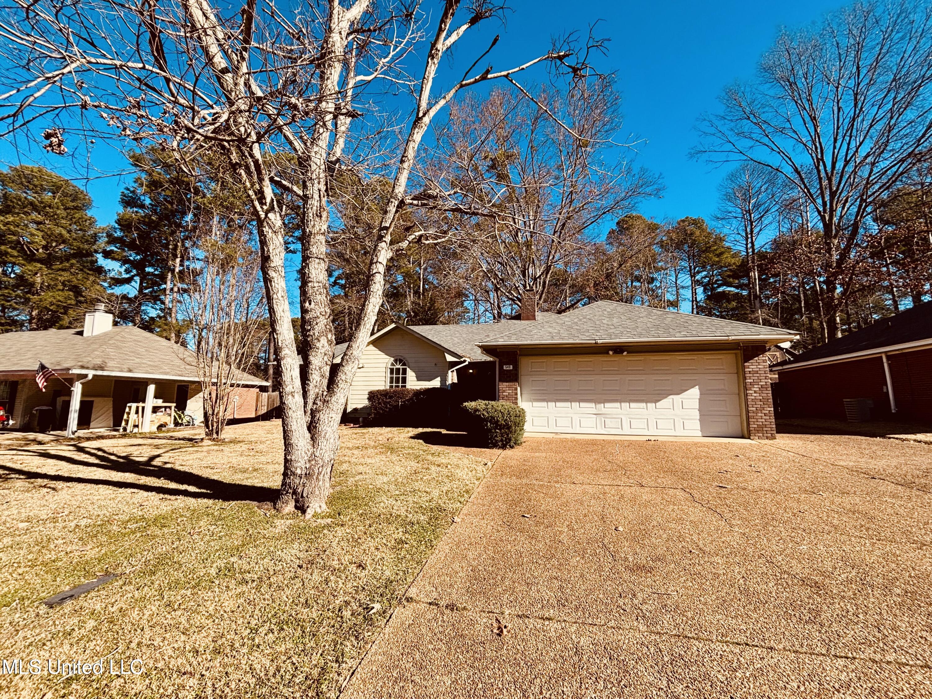 543 Trace View Road, Madison, Mississippi image 3