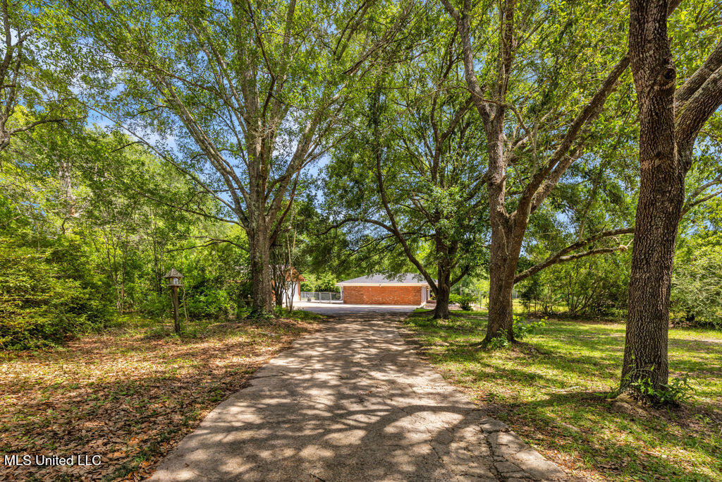 5601 Belle Vale Drive, Vancleave, Mississippi image 6