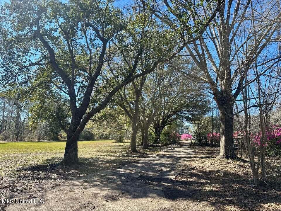 5601 Belle Vale Drive, Vancleave, Mississippi image 9