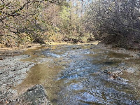 Vacant Land For Sale - Pete Hickman Road<br/> Saucier, MS 39574