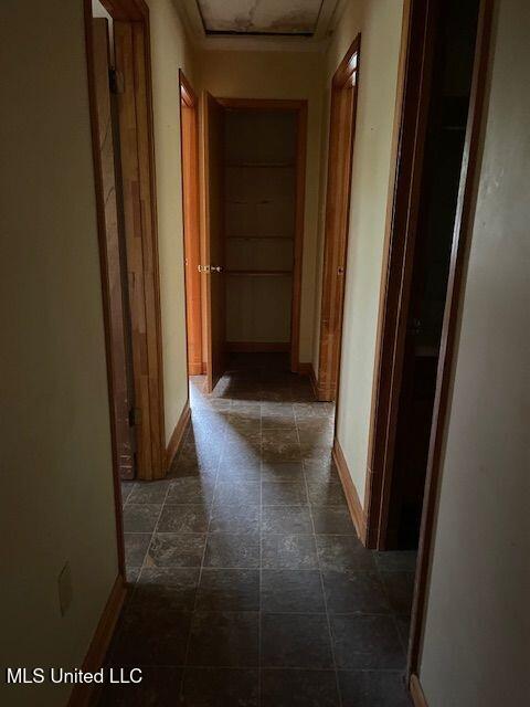 5671 Chapel Hill Drive, Horn Lake, Mississippi image 5