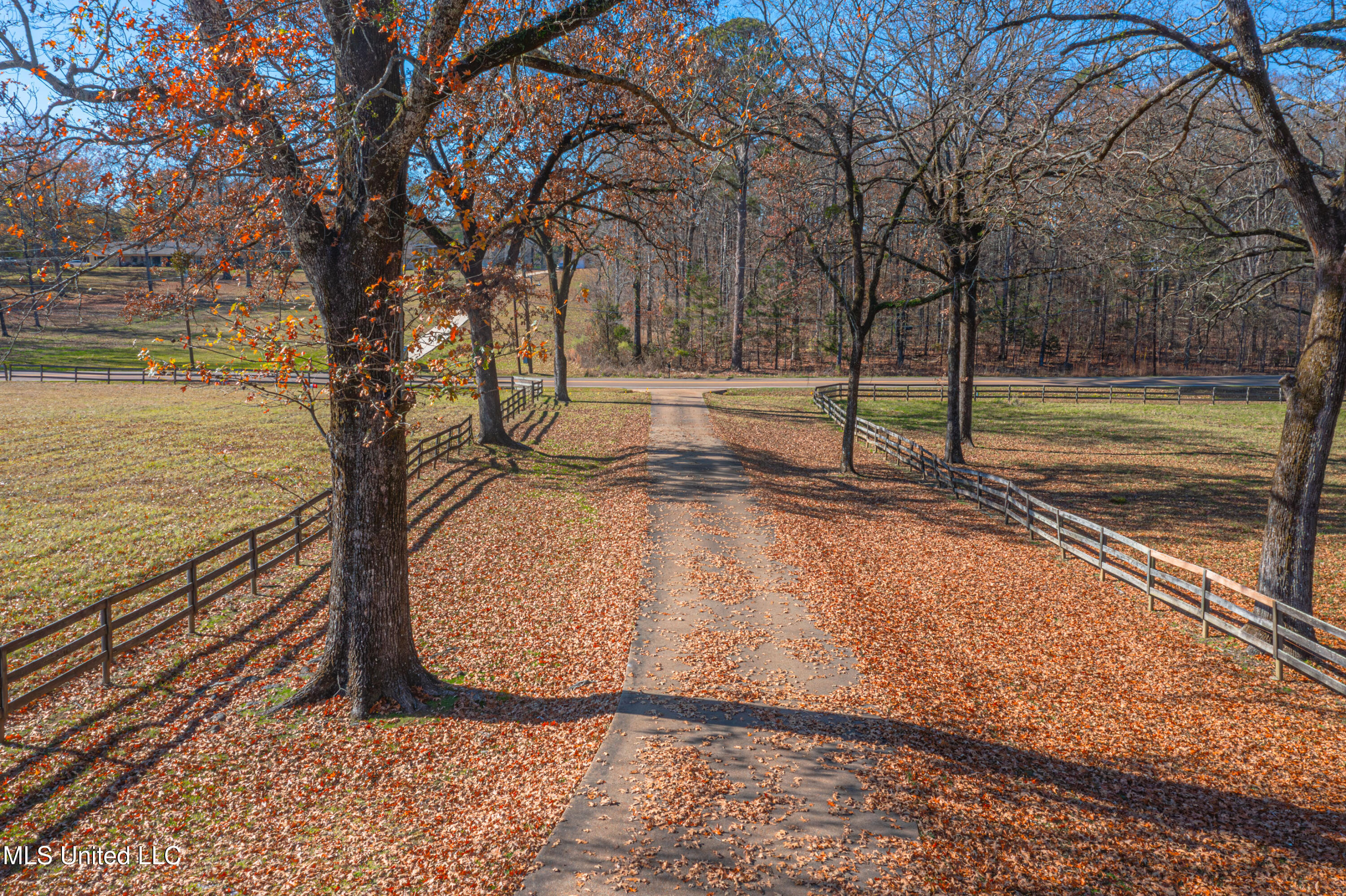 594 N Old Canton Road, Madison, Mississippi image 4