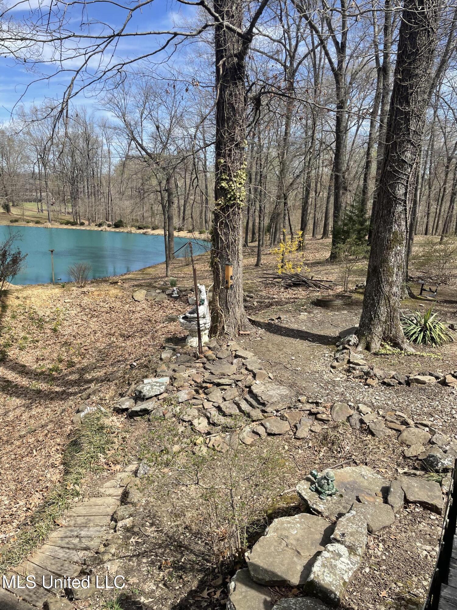 4565 Desoto Road, Horn Lake, Mississippi image 14