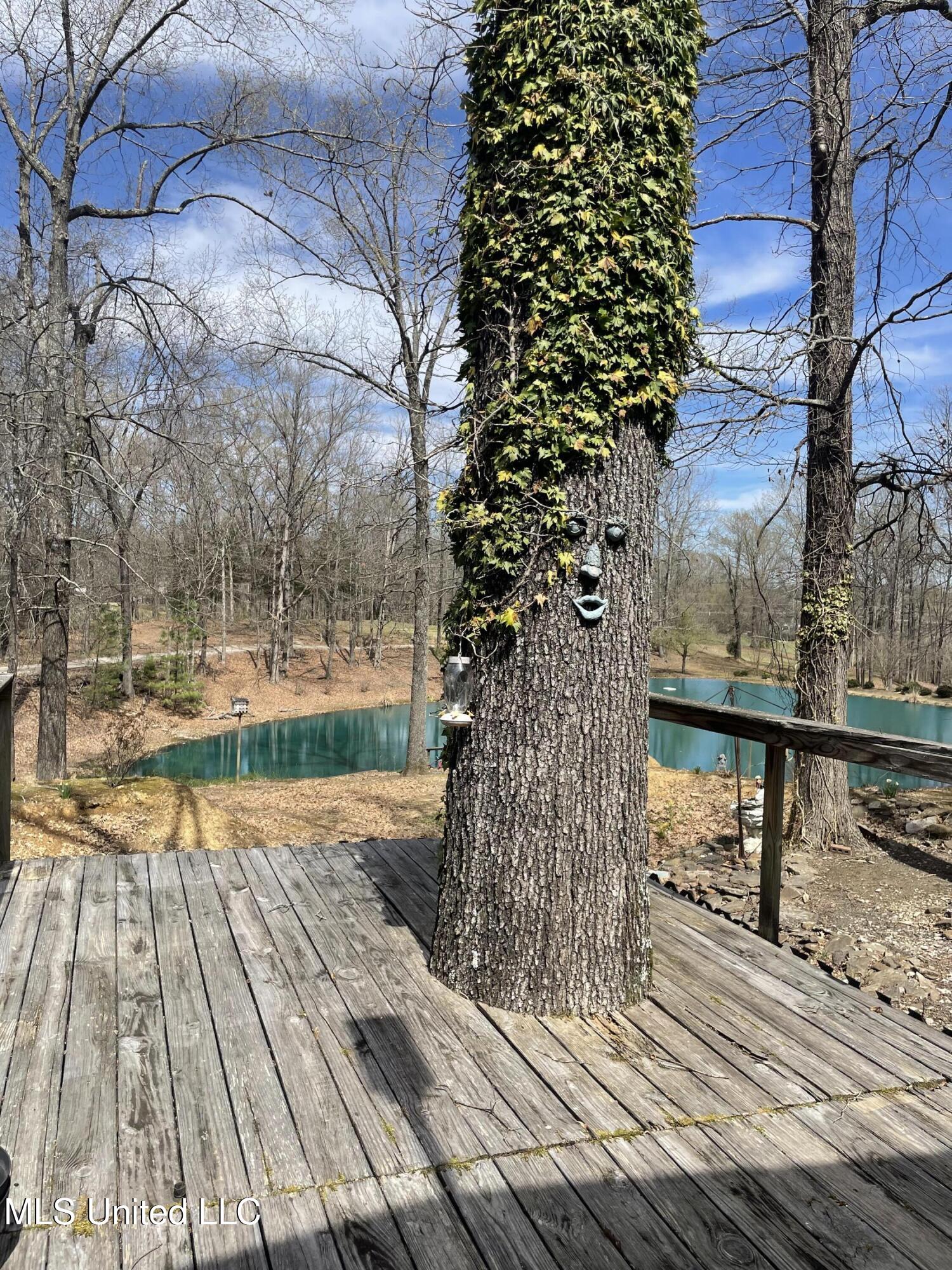 4565 Desoto Road, Horn Lake, Mississippi image 16