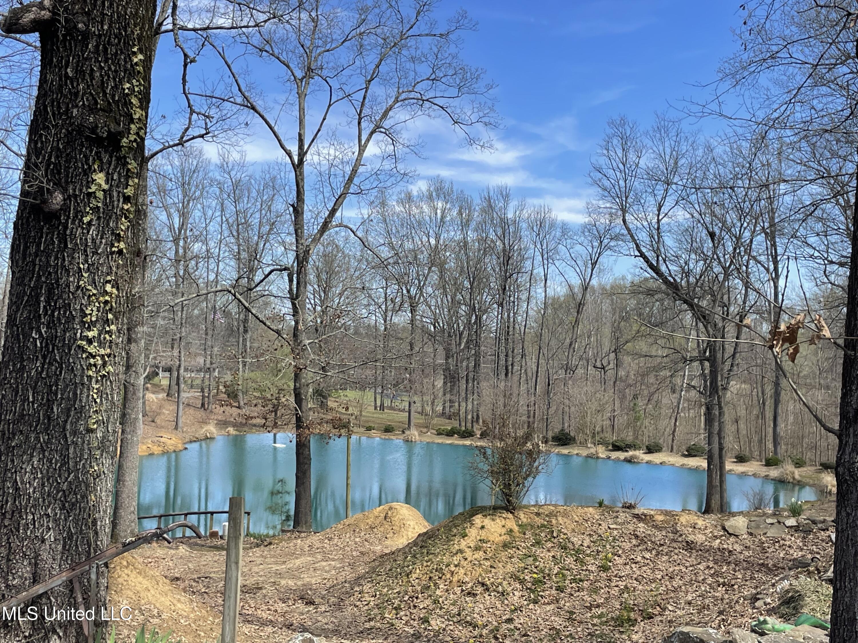 4565 Desoto Road, Horn Lake, Mississippi image 5