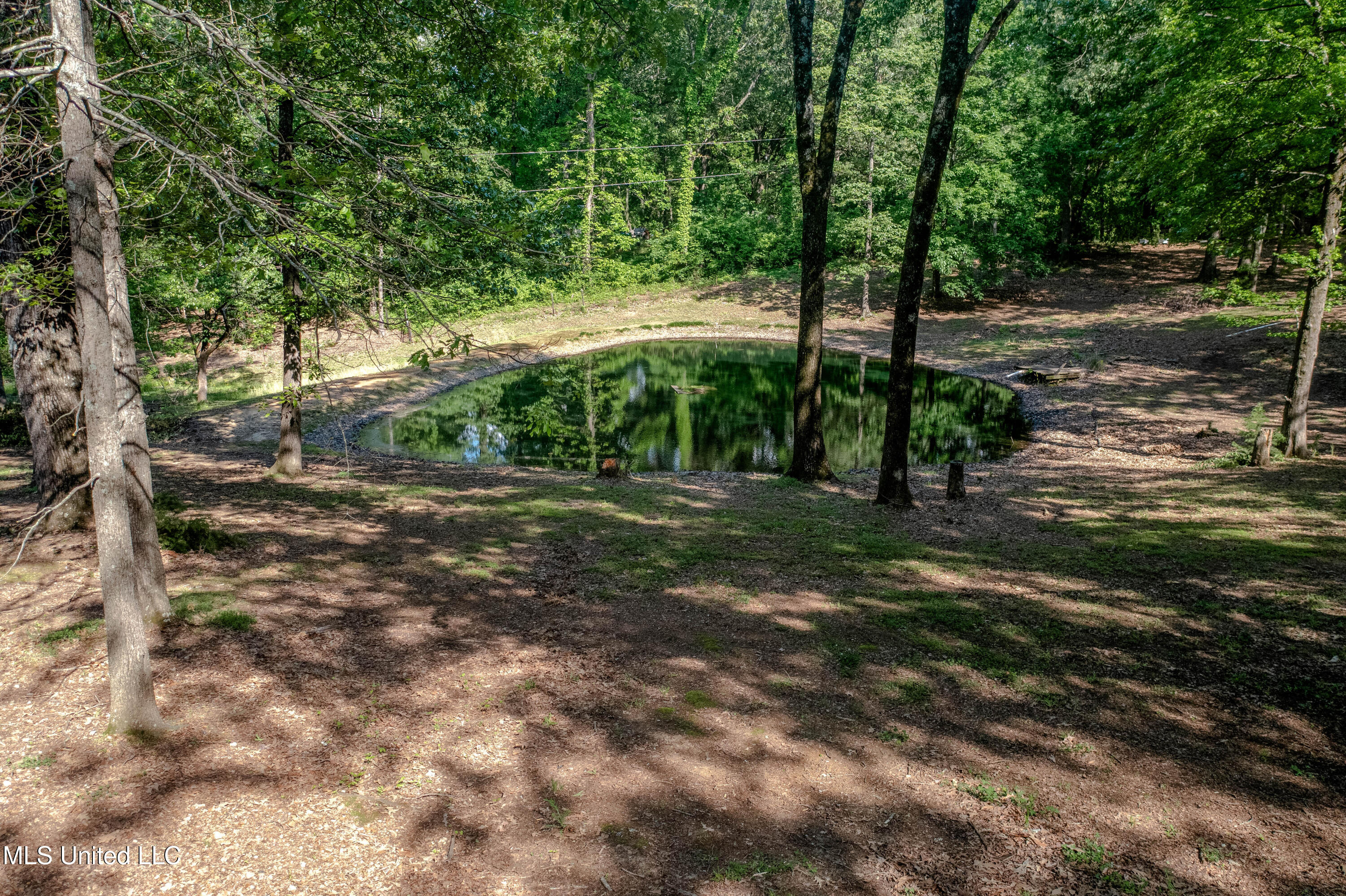 4565 Desoto Road, Horn Lake, Mississippi image 5