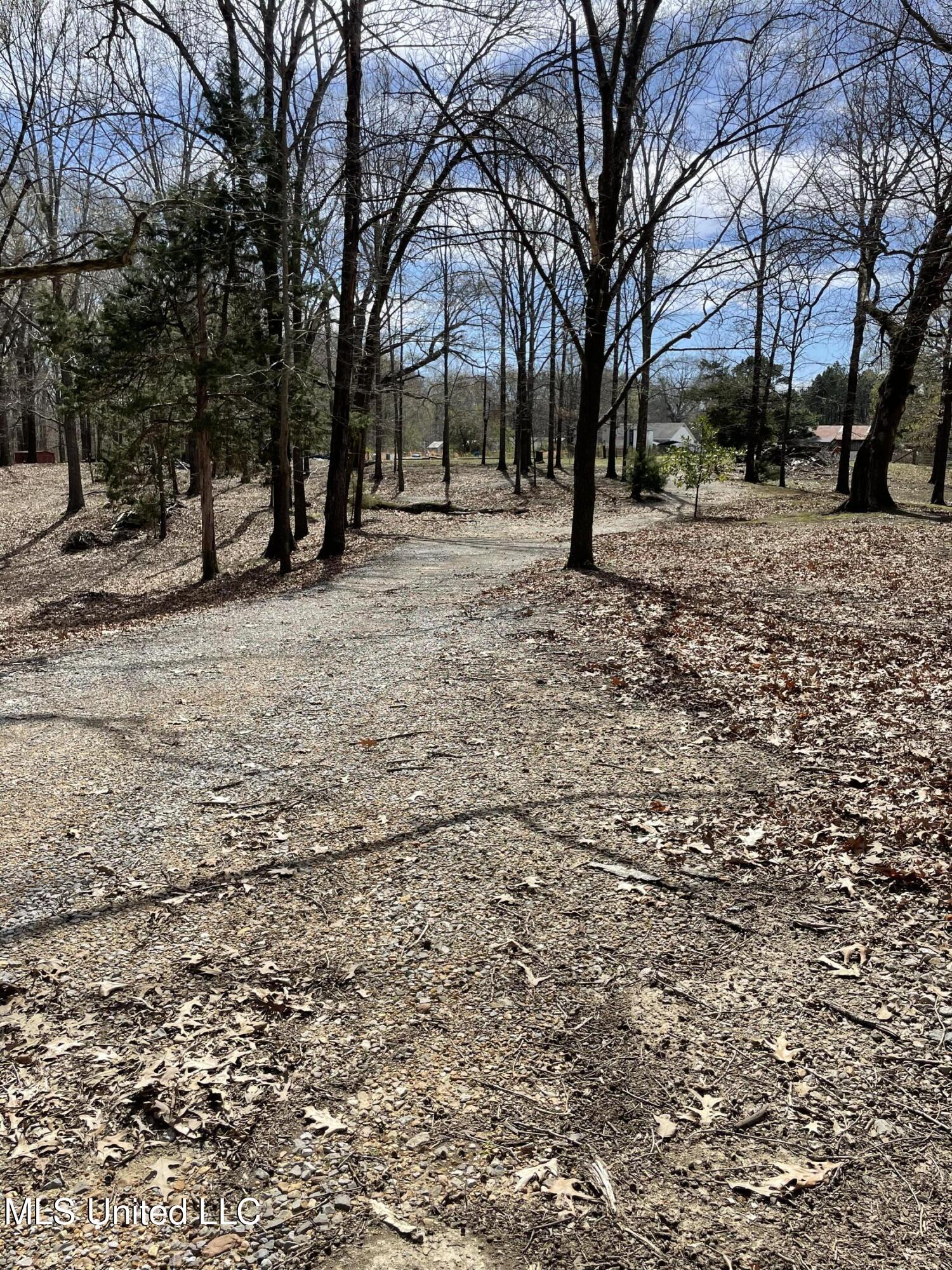 4565 Desoto Road, Horn Lake, Mississippi image 30