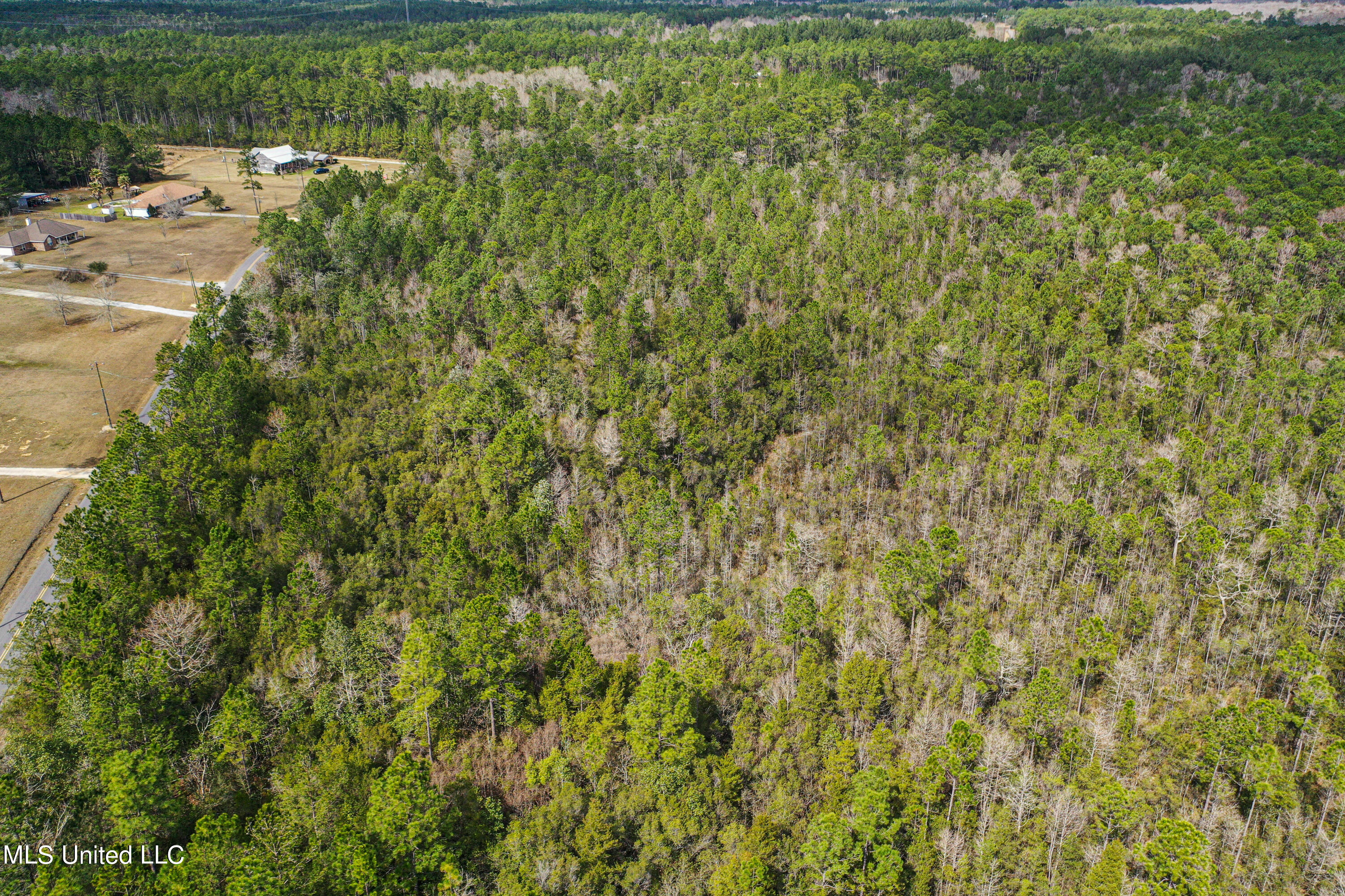 Lily Orchard Road, Moss Point, Mississippi image 11