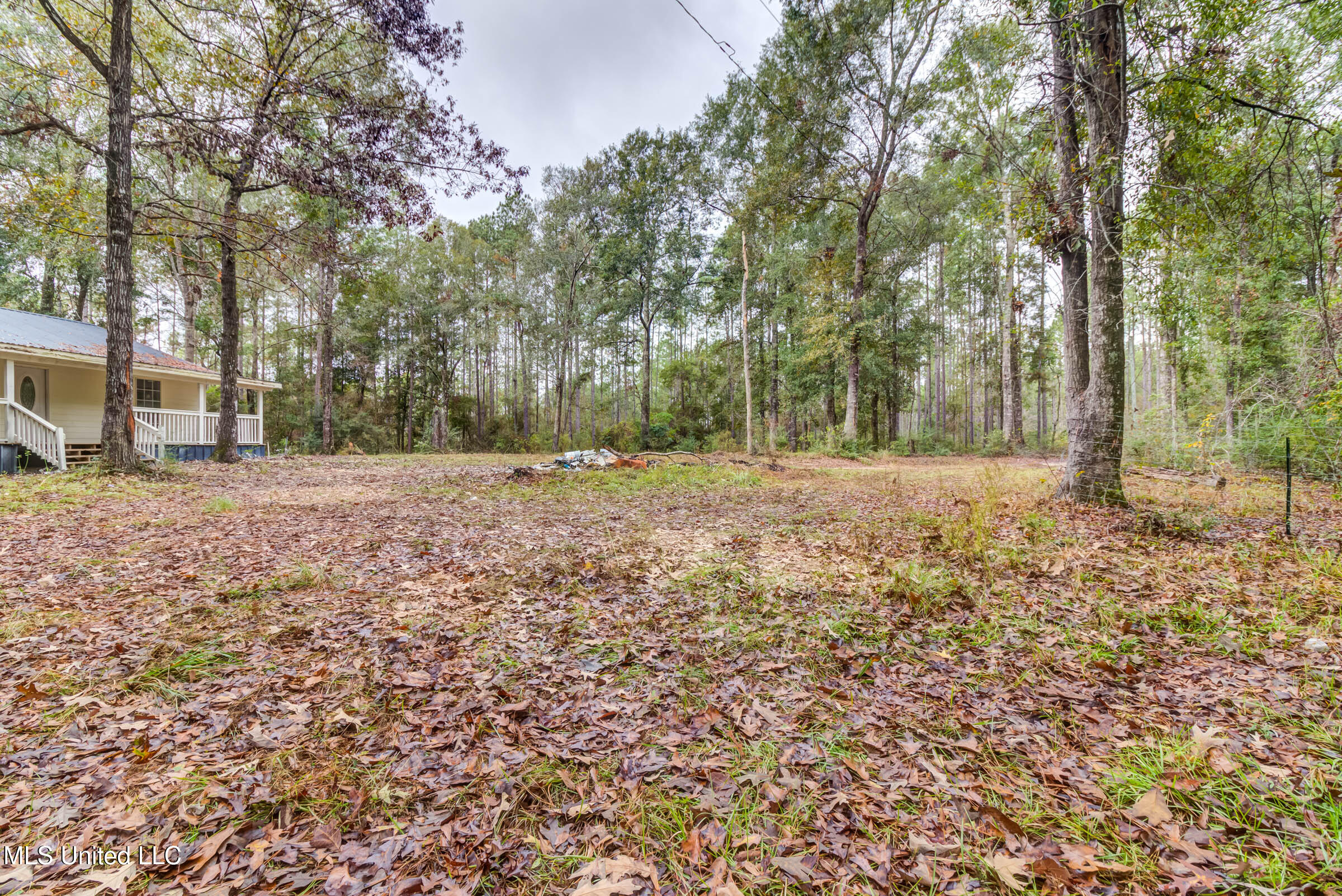 163 Burnis Havard Road #B, Perkinston, Mississippi image 37