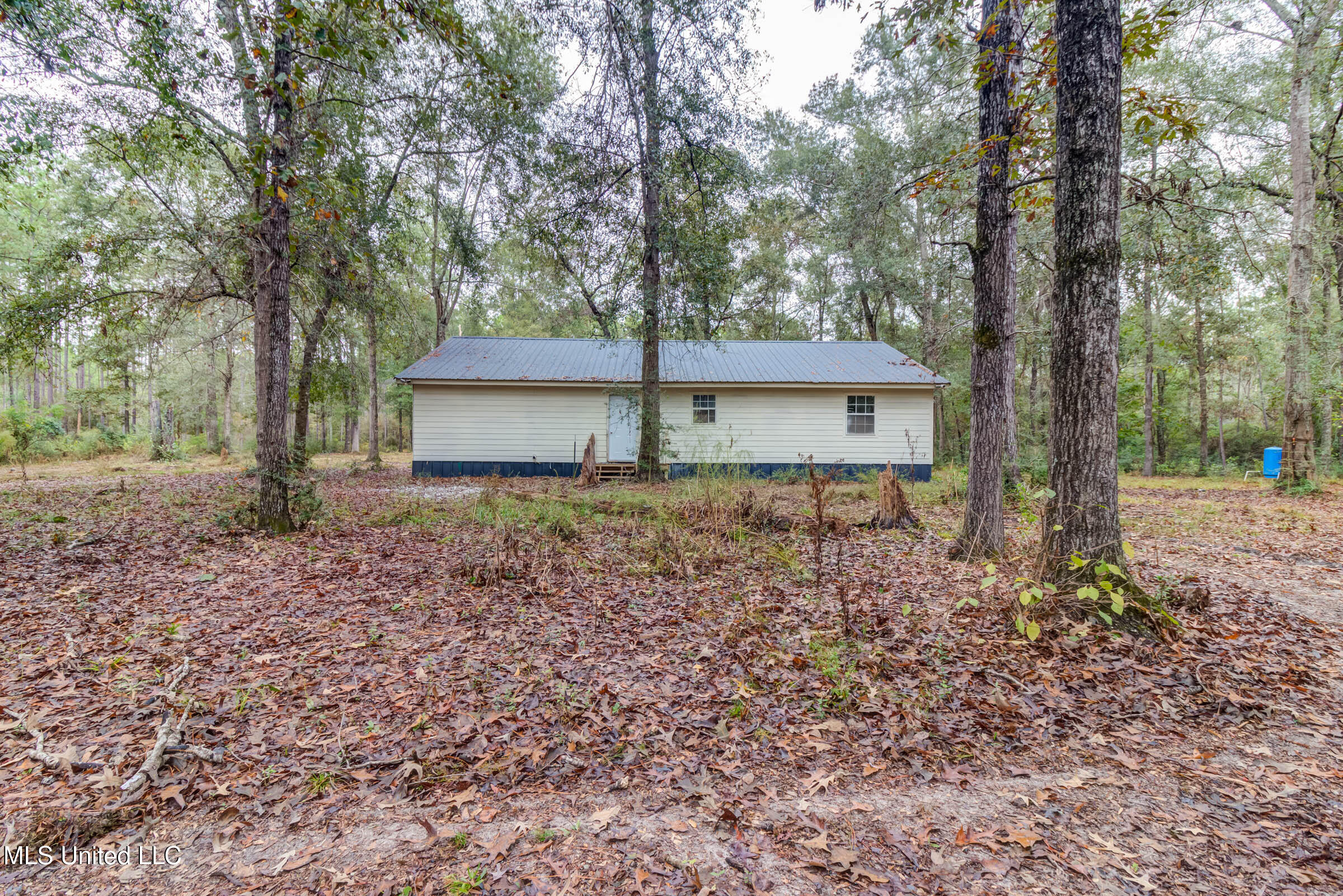 163 Burnis Havard Road #B, Perkinston, Mississippi image 41