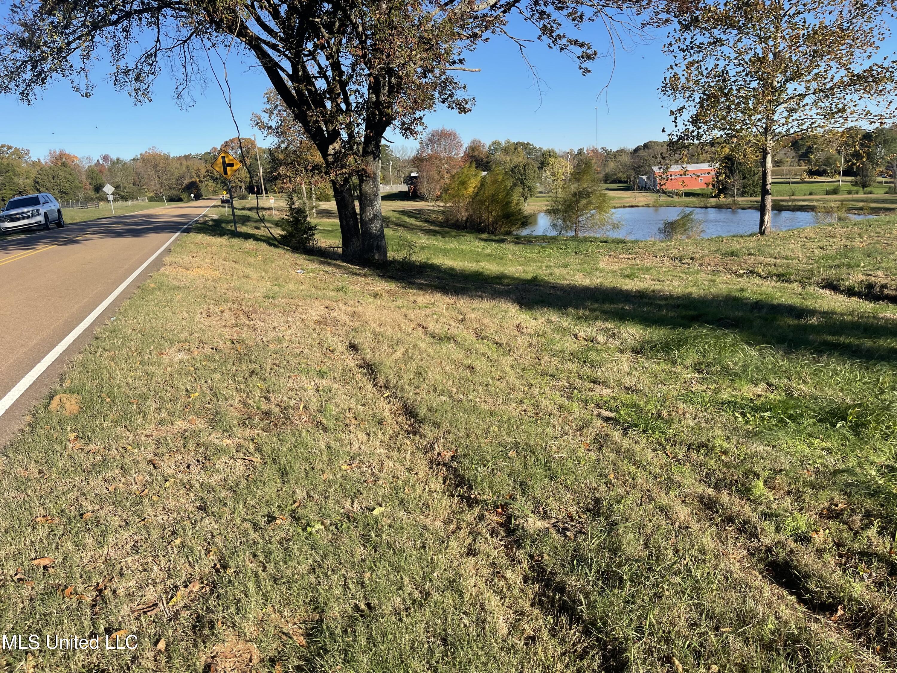 Poagville Road, Coldwater, Mississippi image 3