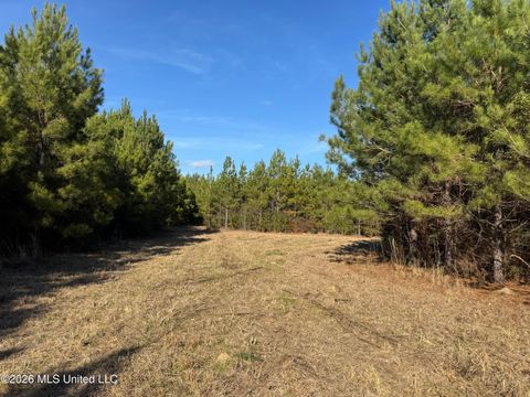 Vacant Land For Sale - 254 Mississippi 27<br/> Tylertown, MS 39667