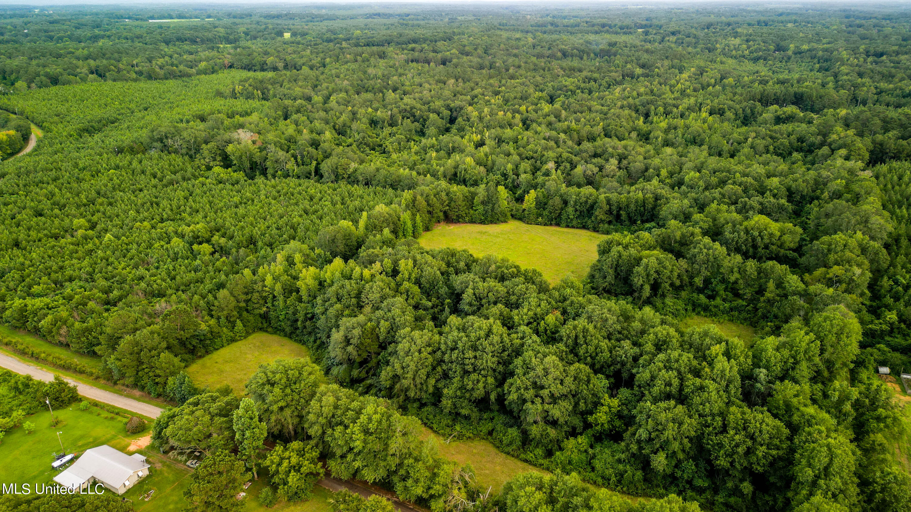 +/- 69 Acres Old Holmesville Road, Tylertown, Mississippi image 11