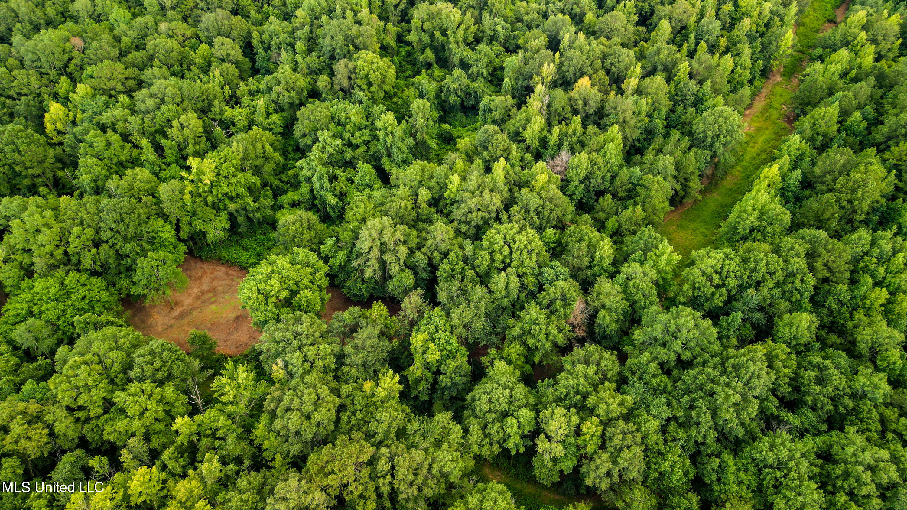 +/- 69 Acres Old Holmesville Road, Tylertown, Mississippi image 16