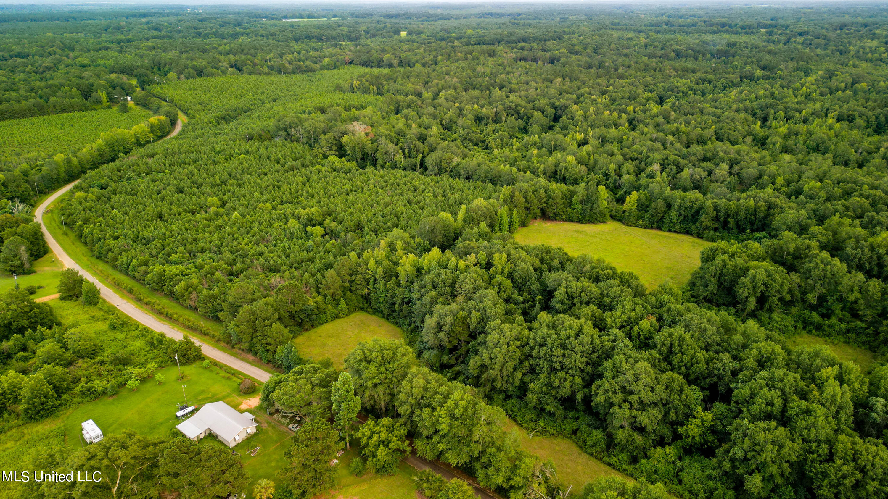 +/- 69 Acres Old Holmesville Road, Tylertown, Mississippi image 12