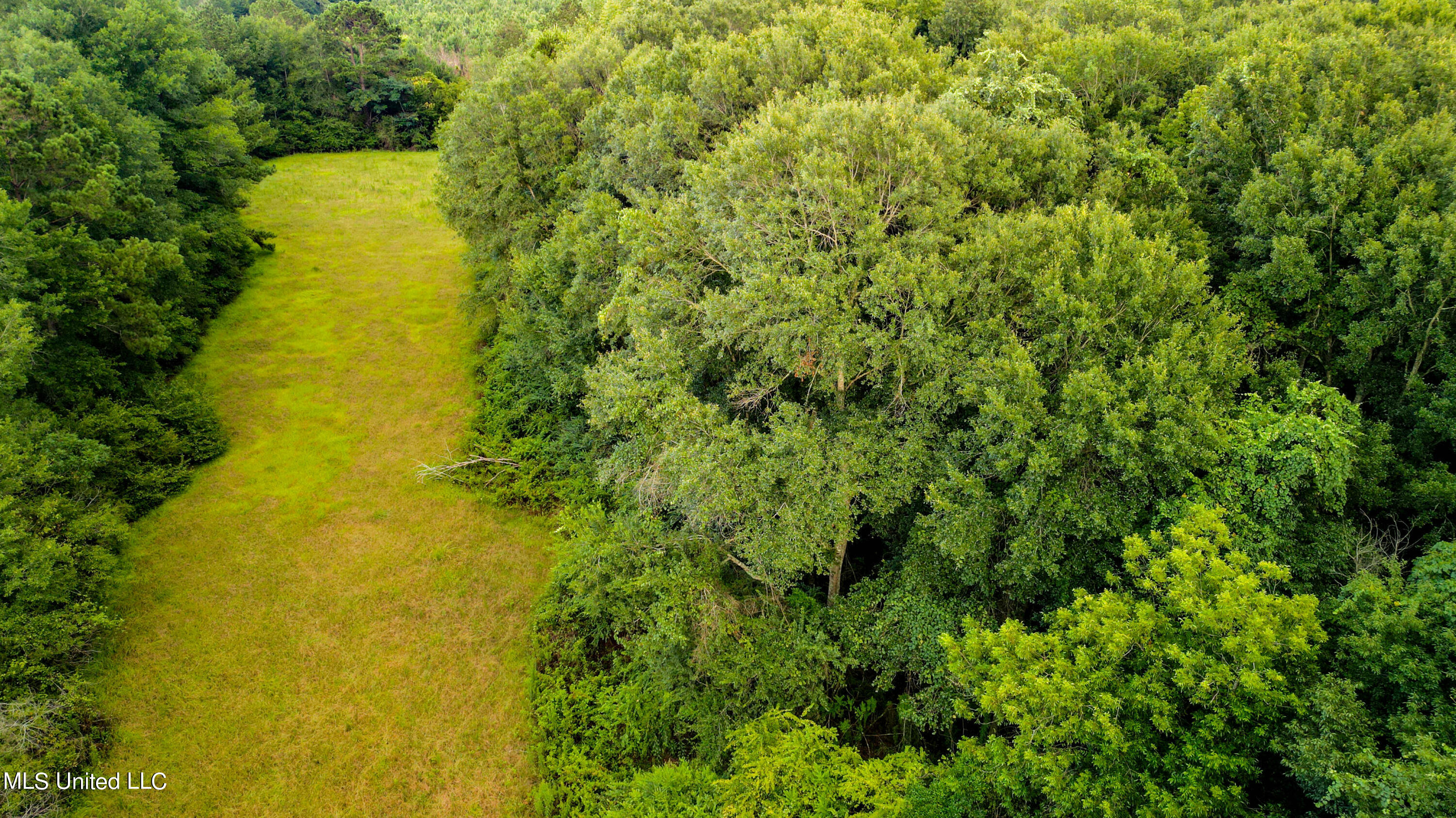 +/- 69 Acres Old Holmesville Road, Tylertown, Mississippi image 10