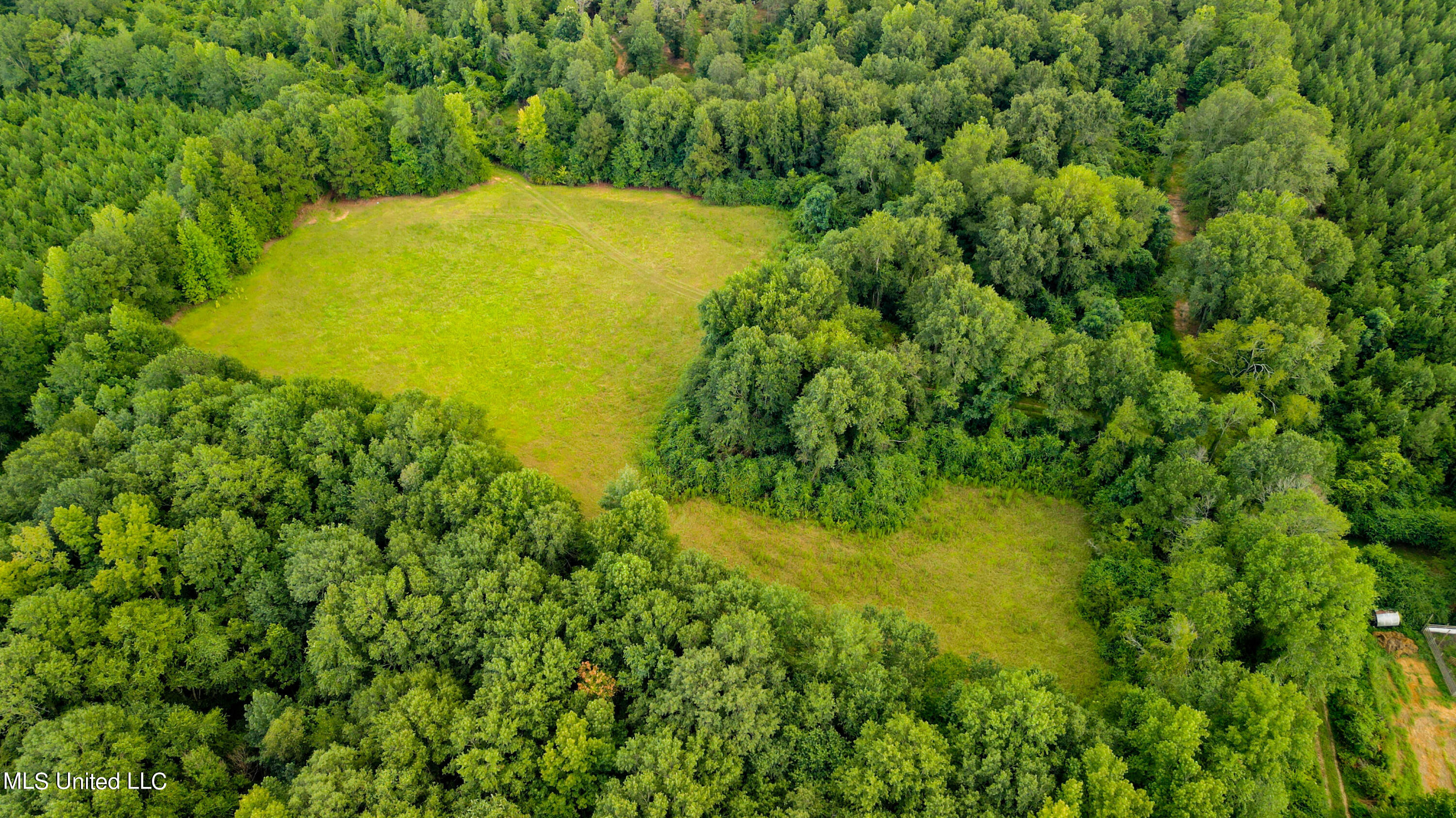 +/- 69 Acres Old Holmesville Road, Tylertown, Mississippi image 13