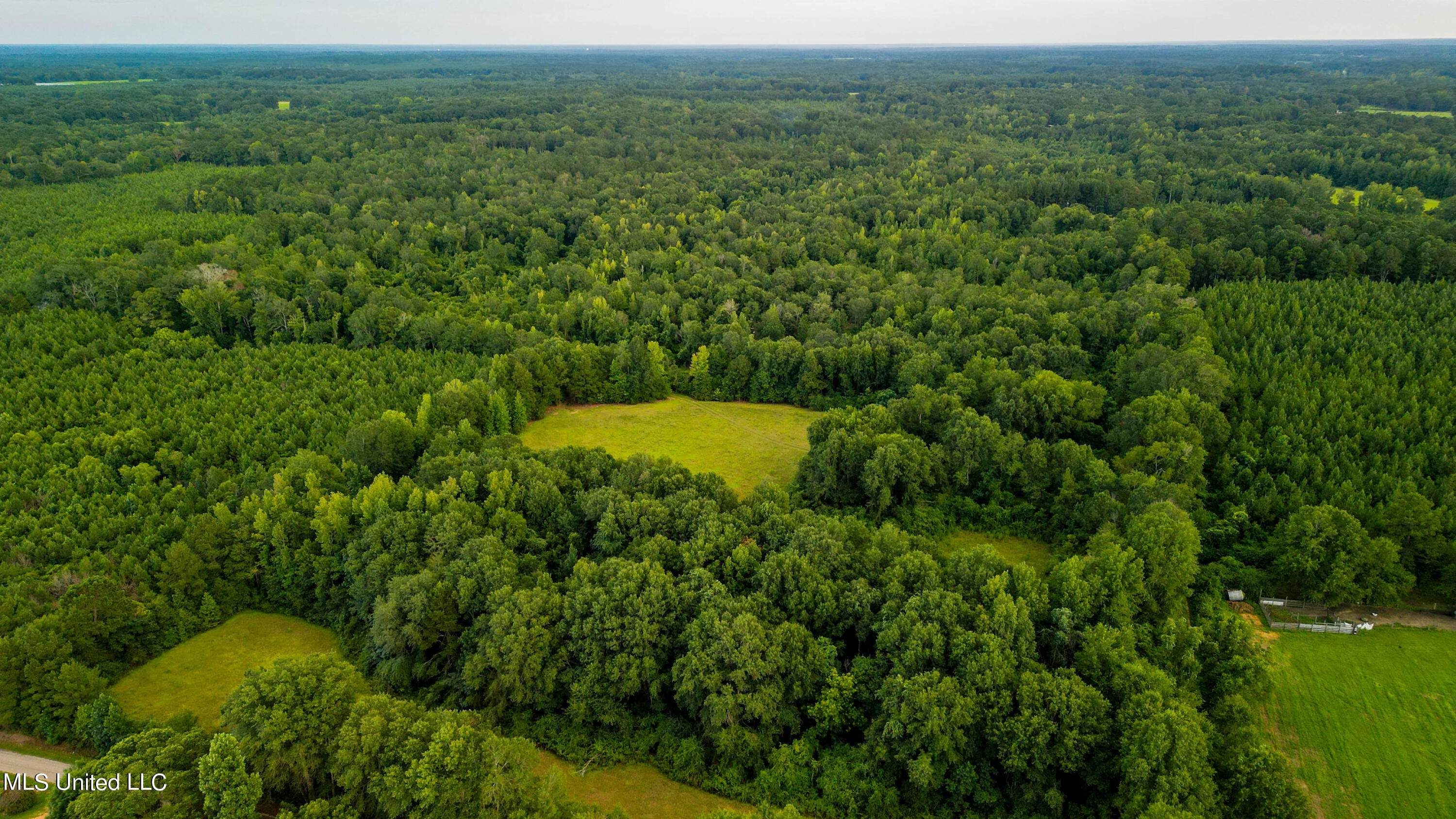 +/- 69 Acres Old Holmesville Road, Tylertown, Mississippi image 4