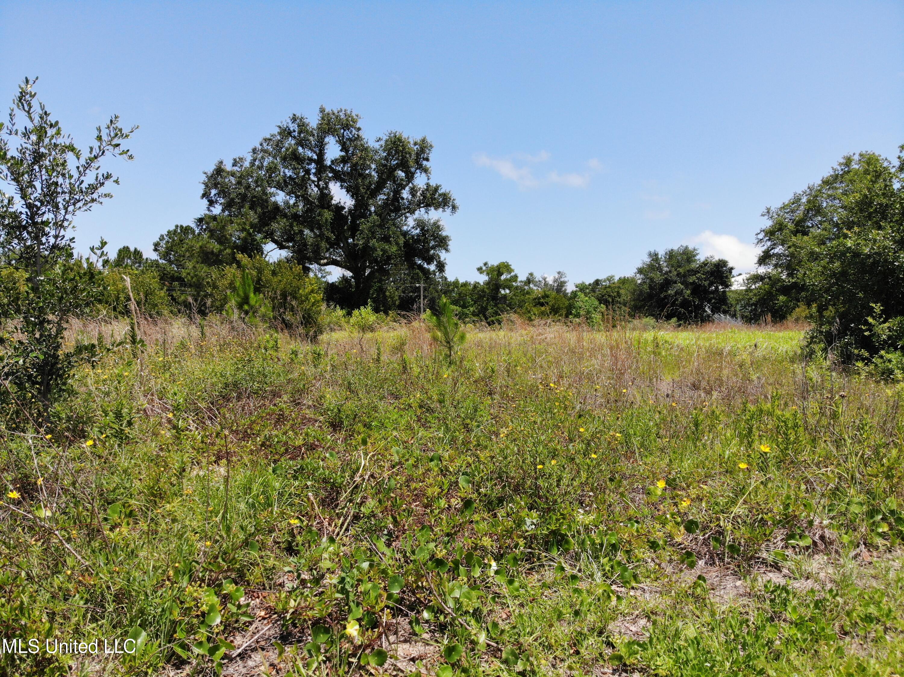 114 Destiny Oaks Drive, Long Beach, Mississippi image 4