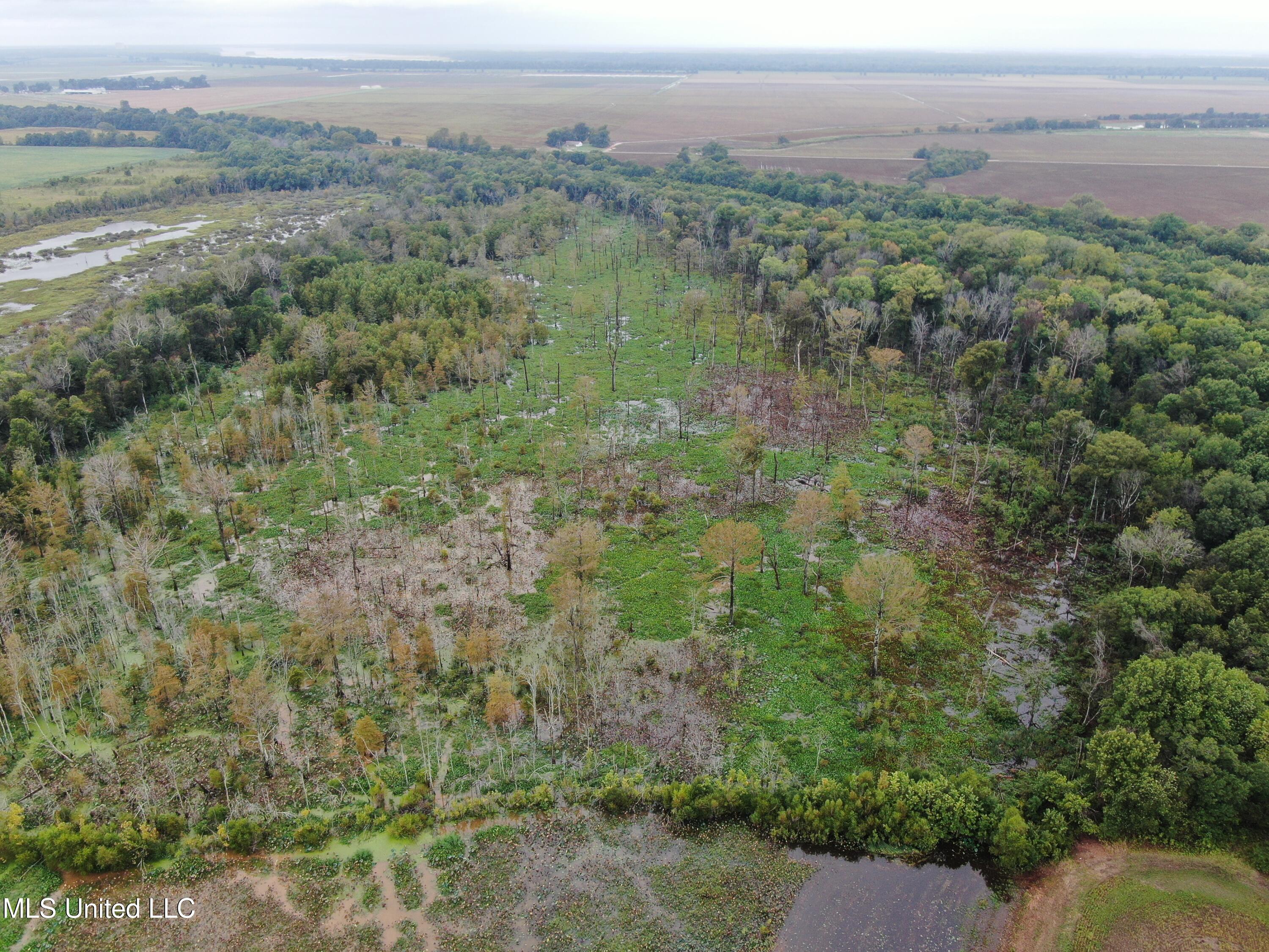 4000 Hwy. 61, Walls, Mississippi image 5