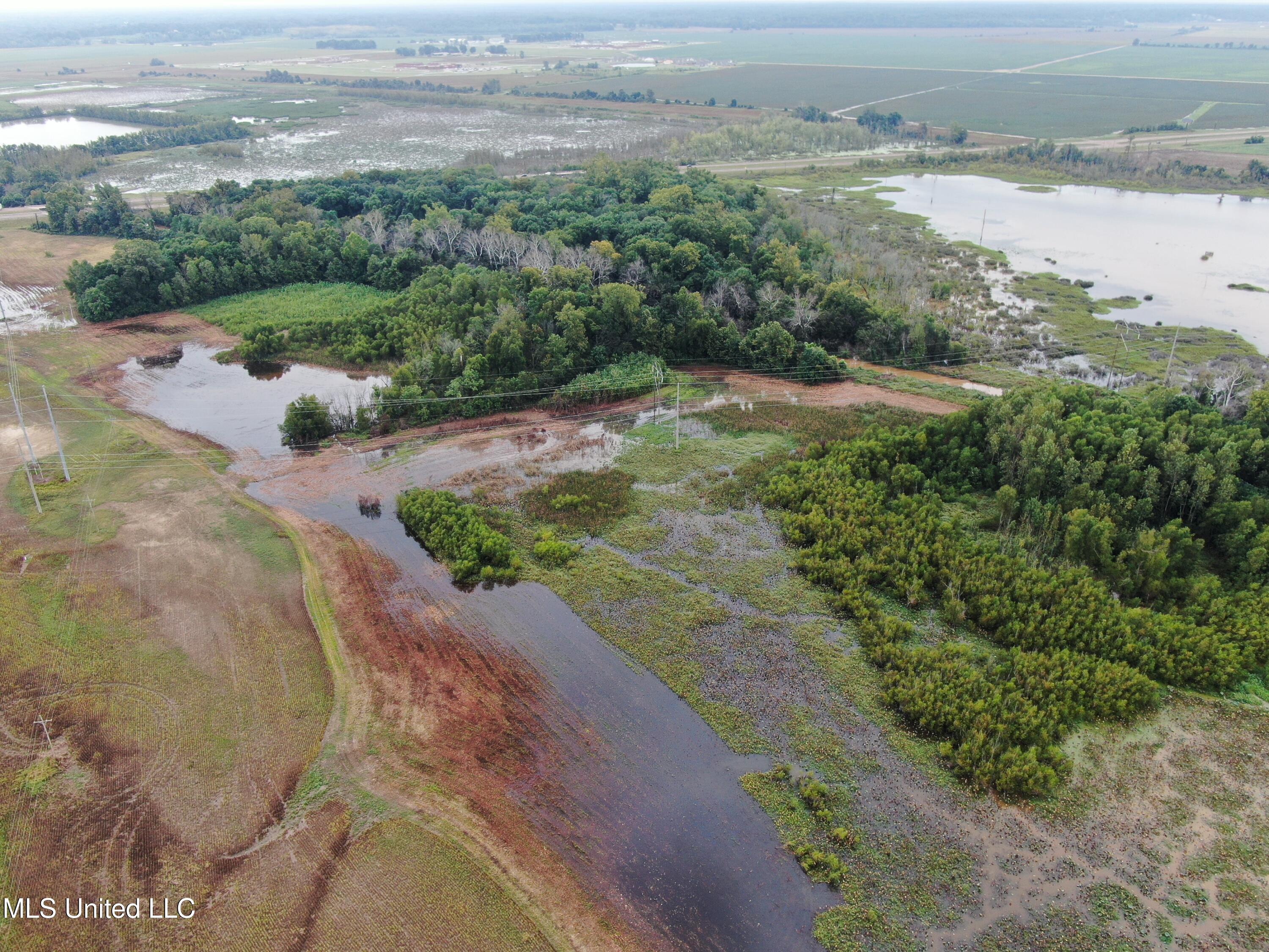 4000 Hwy. 61, Walls, Mississippi image 10