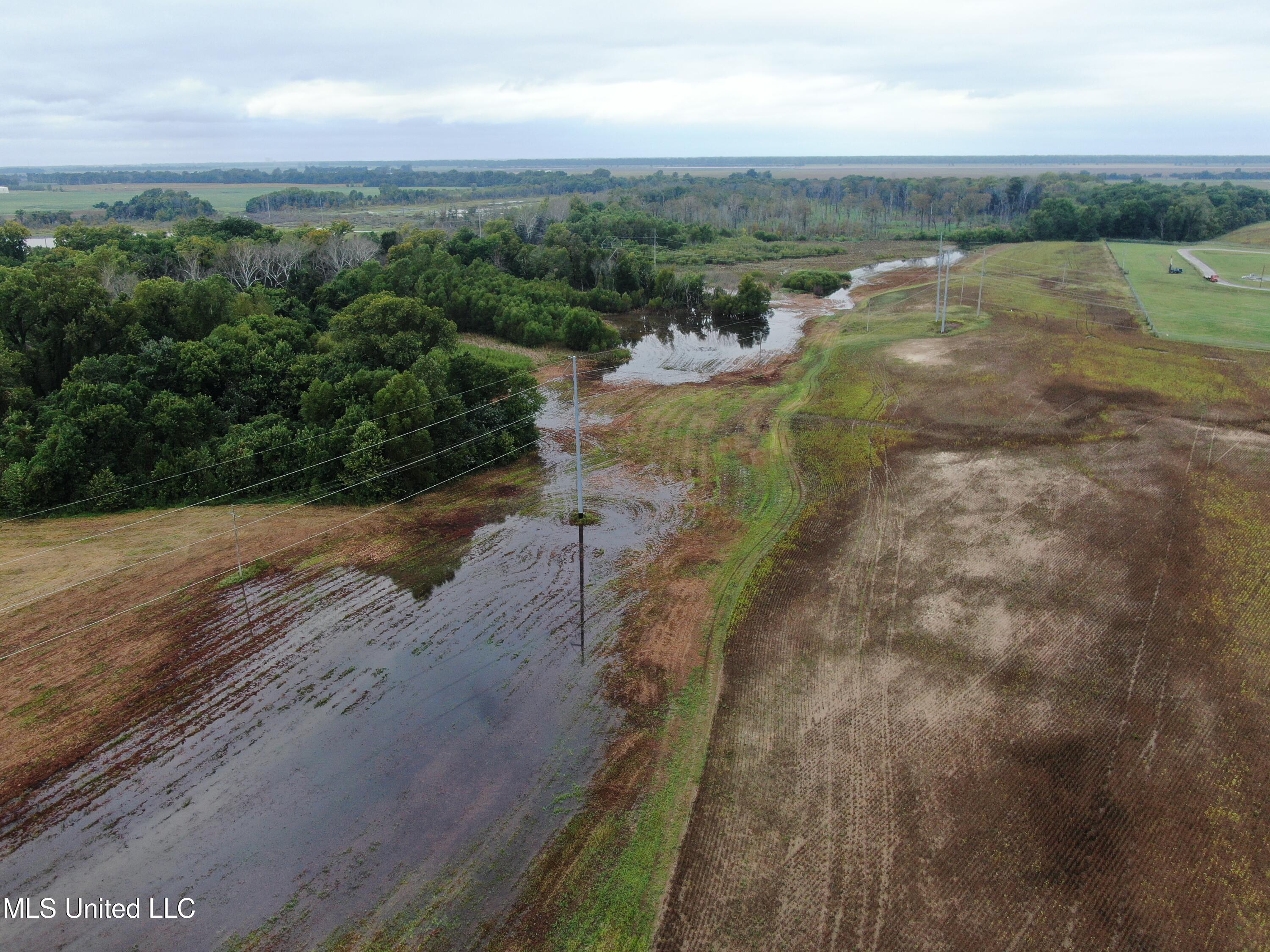 4000 Hwy. 61, Walls, Mississippi image 1