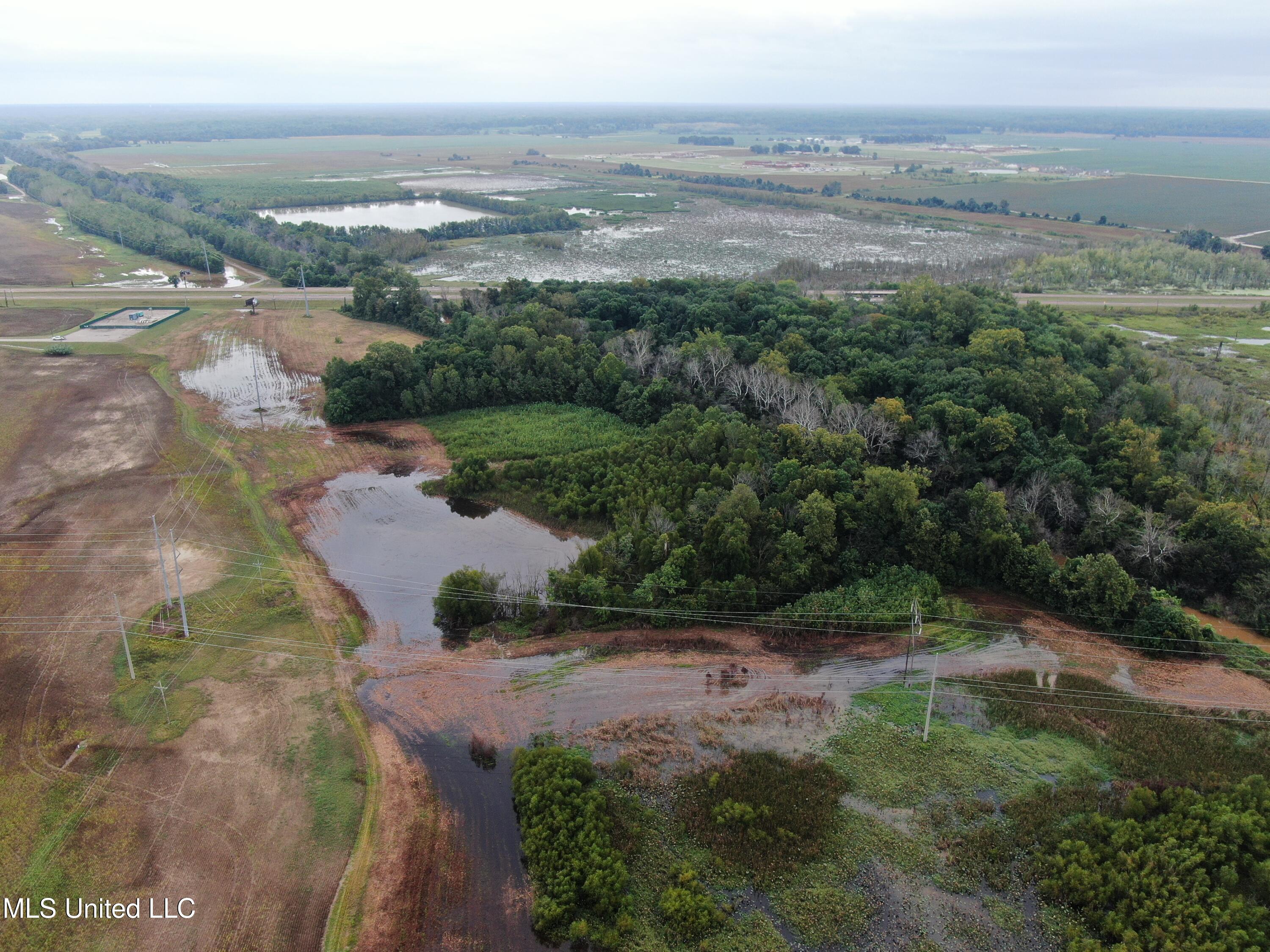 4000 Hwy. 61, Walls, Mississippi image 7