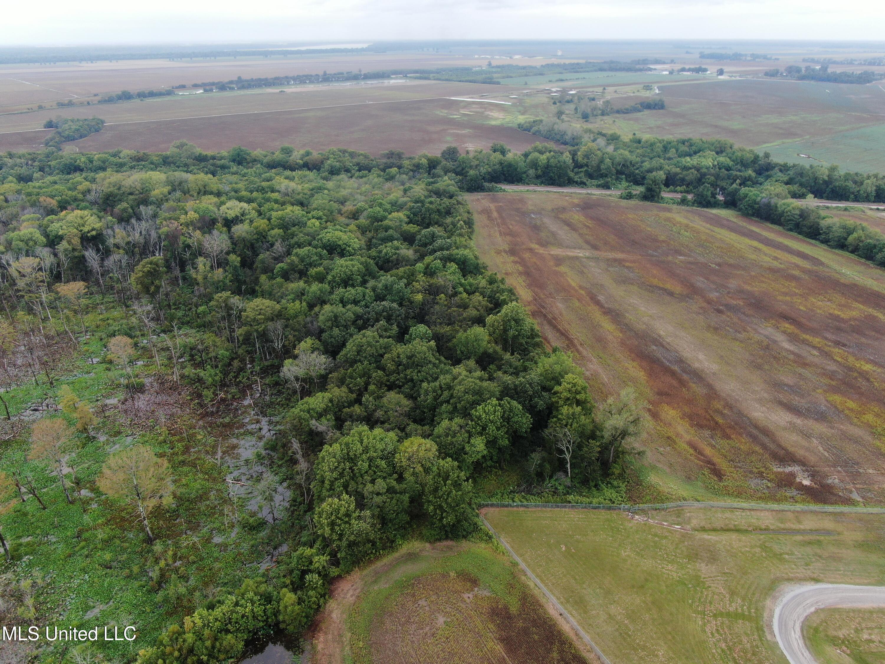 4000 Hwy. 61, Walls, Mississippi image 8