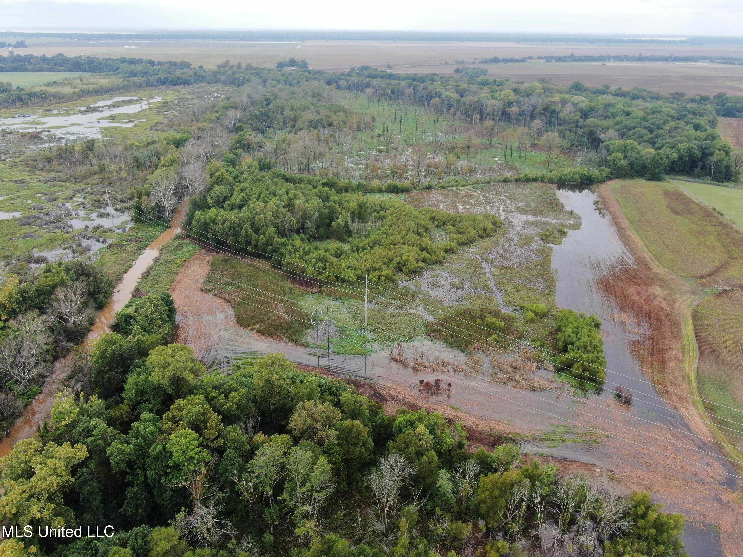 4000 Hwy. 61, Walls, Mississippi image 3