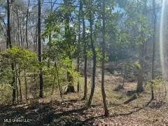 000 Turkey Creek Road, Natchez, Mississippi image 5