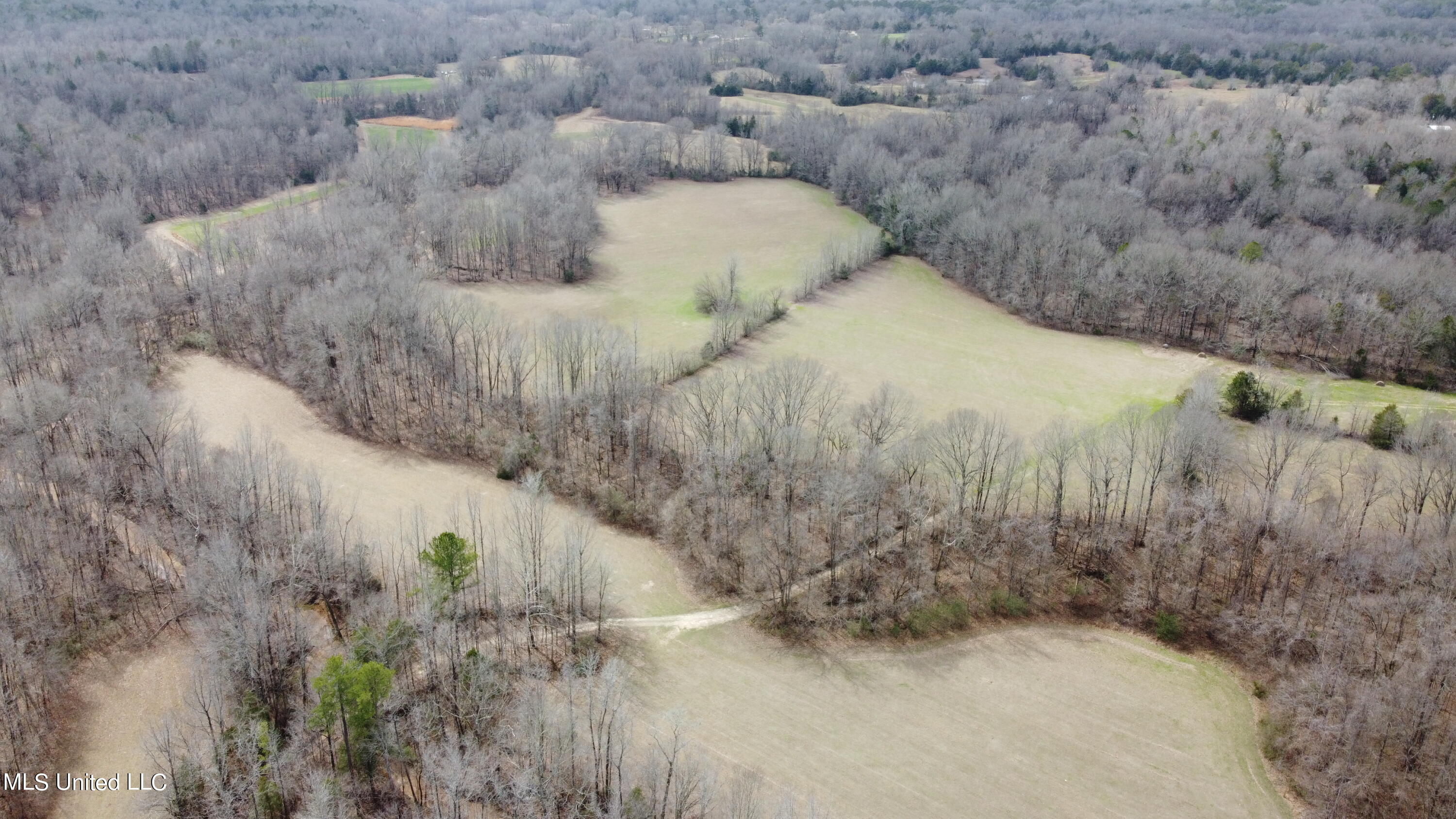 Co Rd 430, Coila, Mississippi image 8